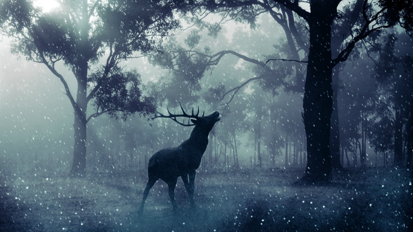 A stag calls out in a misty forest during snowfall HD Wallpaper