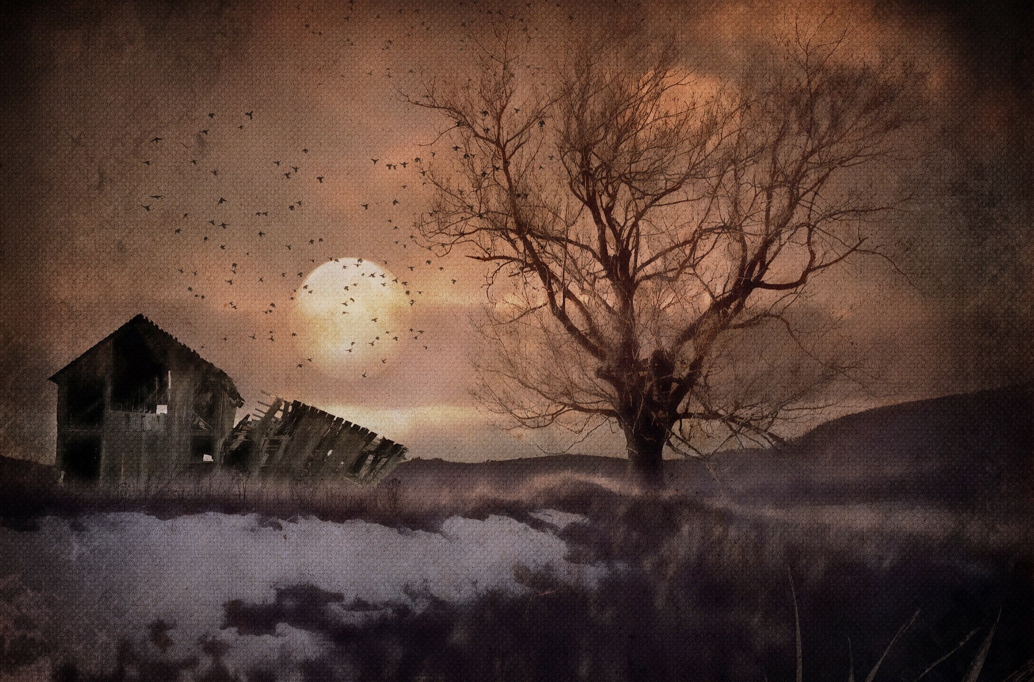 Abandoned barn and tree under a full moon with birds HD Wallpaper