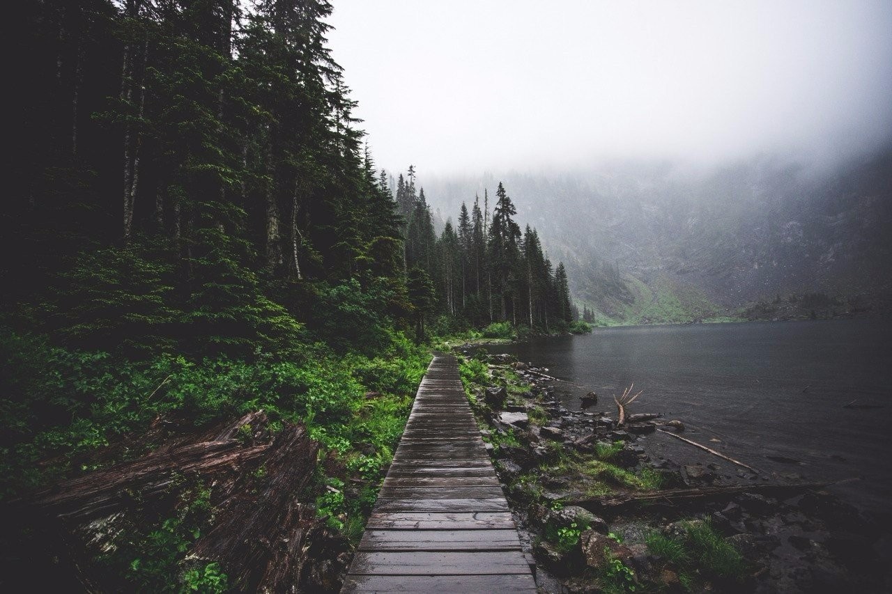 Wooden boardwalk along a misty lake in a forest HD Wallpaper