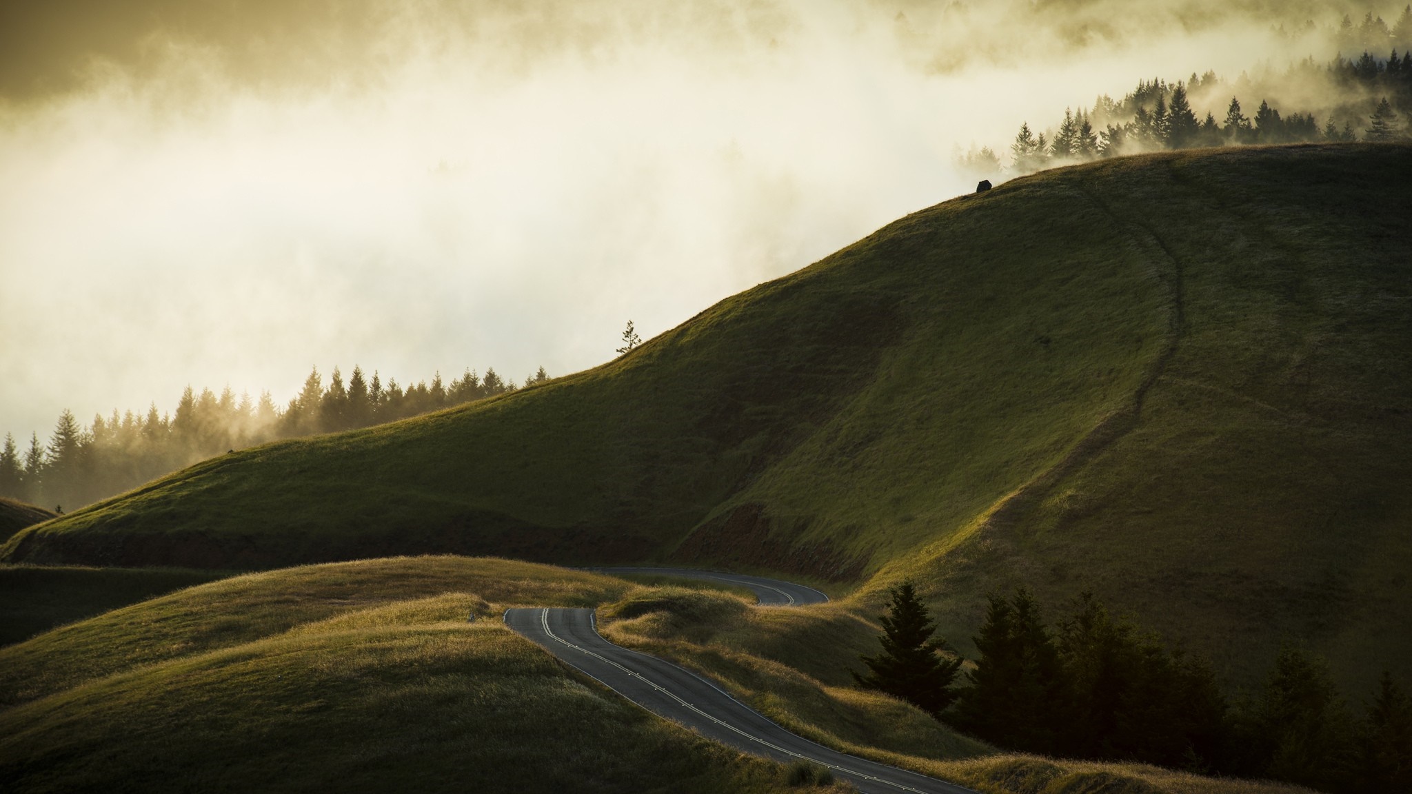 Winding road through misty hills at sunrise HD Wallpaper