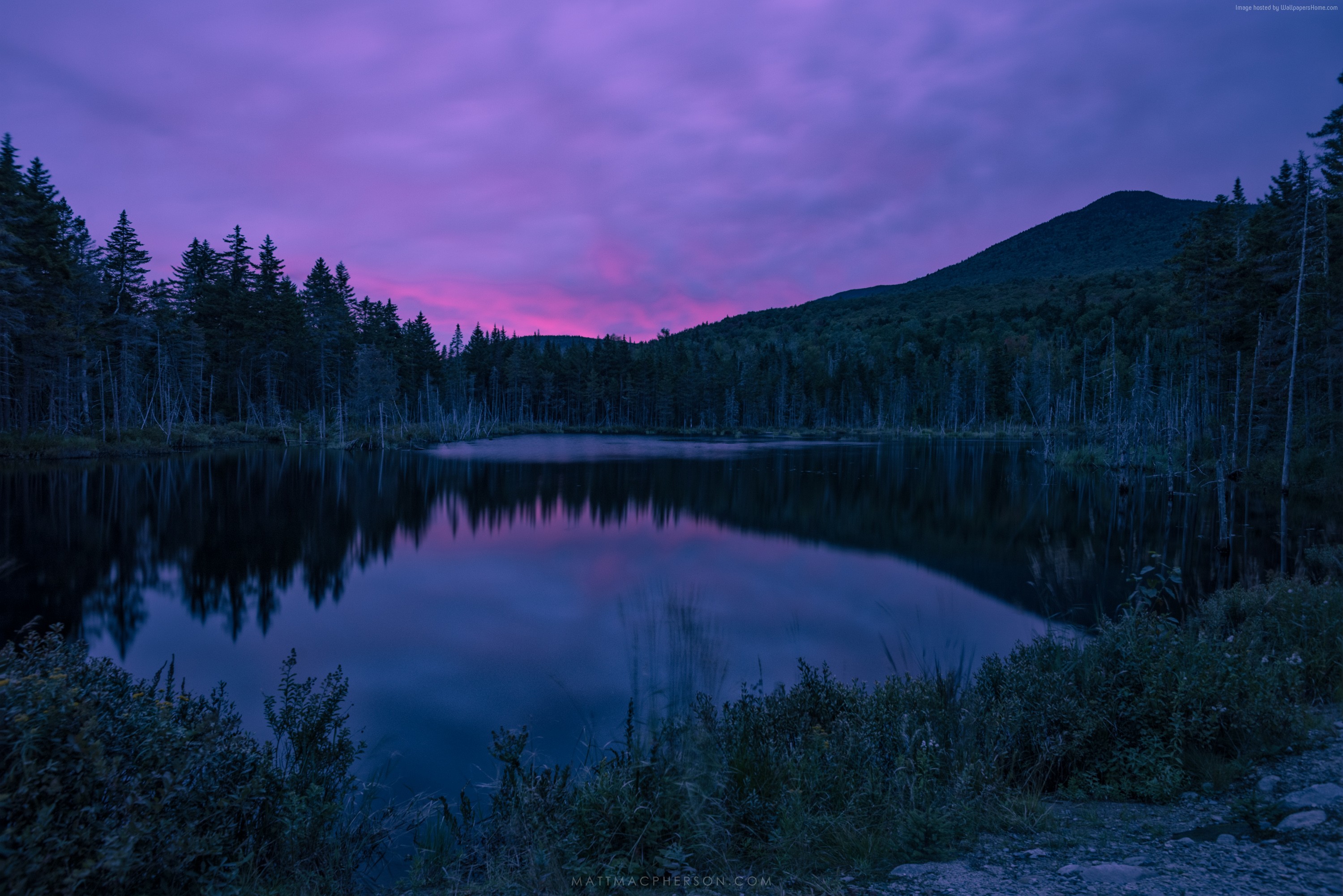 Purple Sky Over Forest Lake at Dusk HD Wallpaper