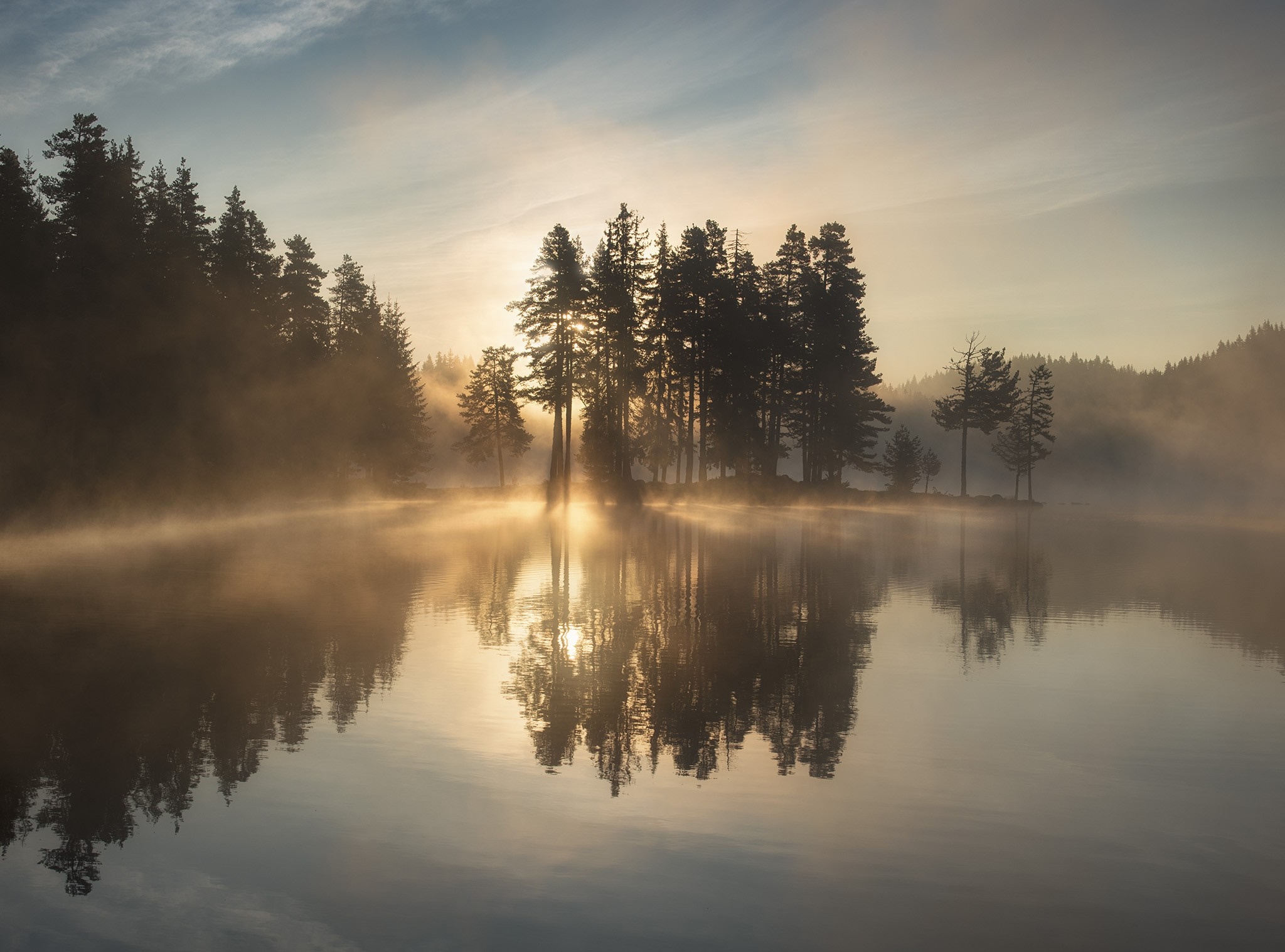 Misty lake with trees at sunrise HD Wallpaper