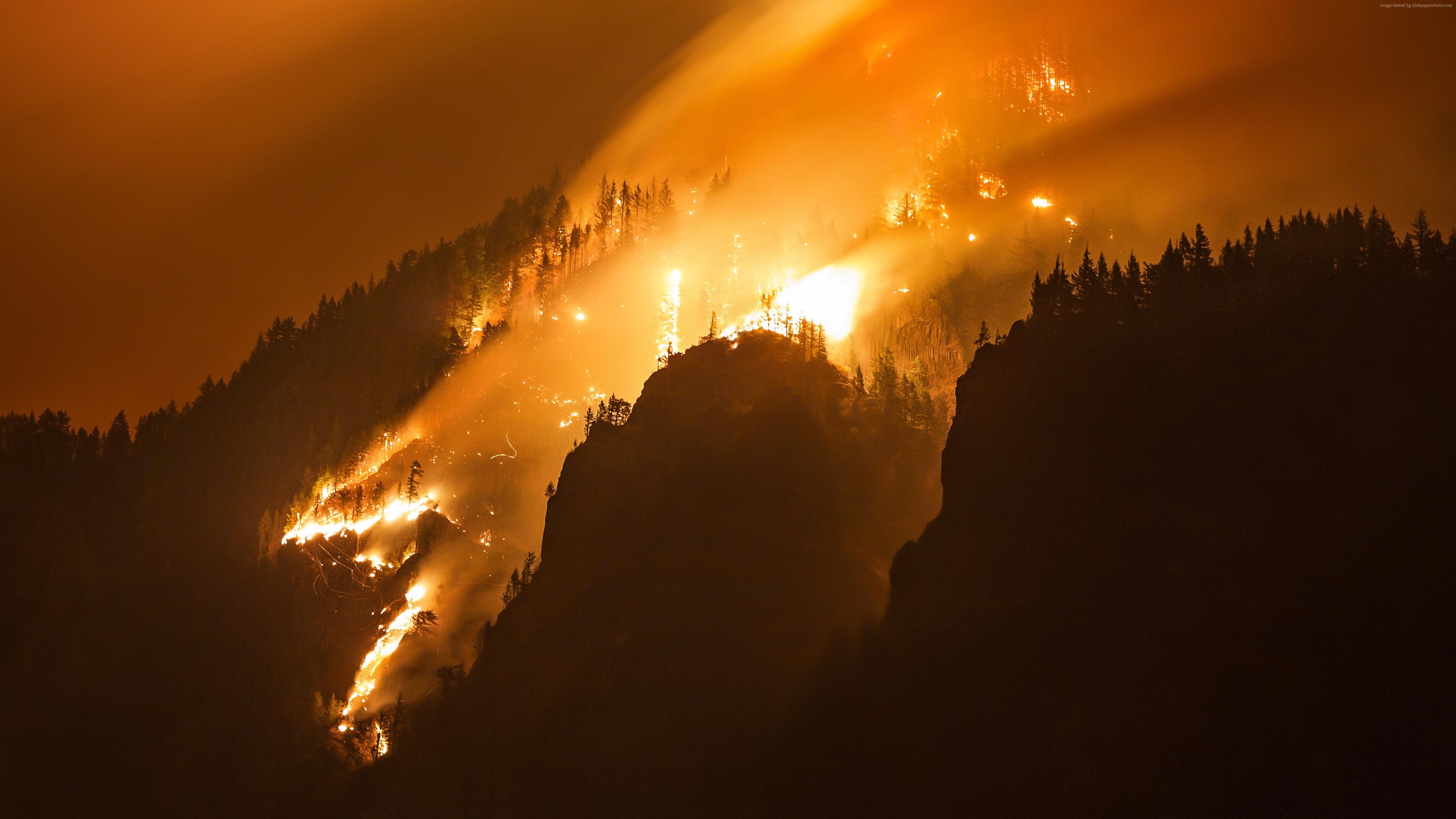 Columbia Gorge forest fire at night HD Wallpaper