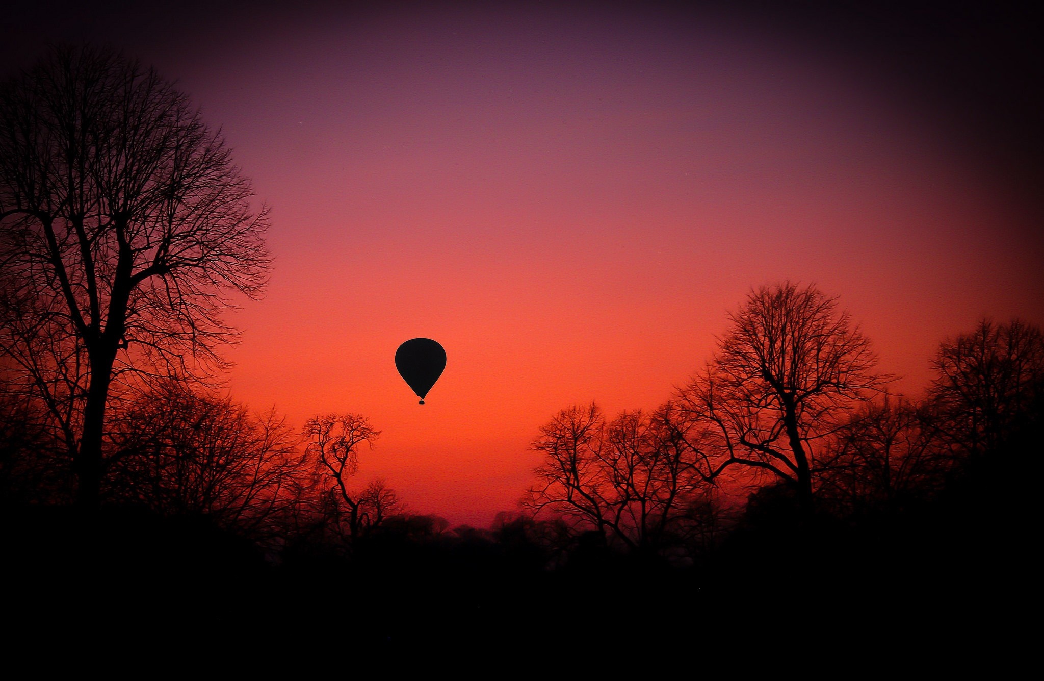 Hot air balloon at sunset over silhouetted trees HD Wallpaper
