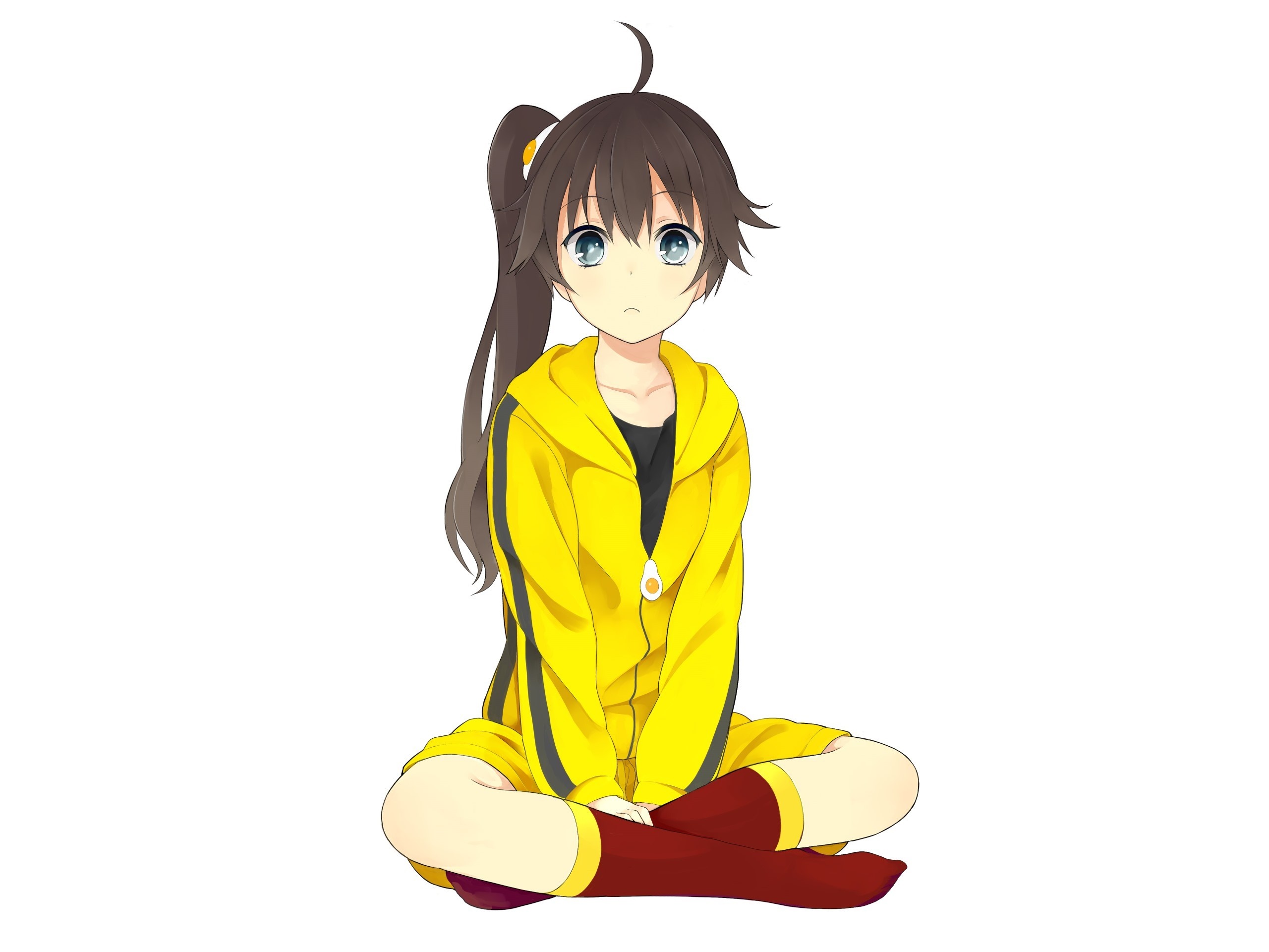 Araragi Karen from Monogatari Series HD Wallpaper