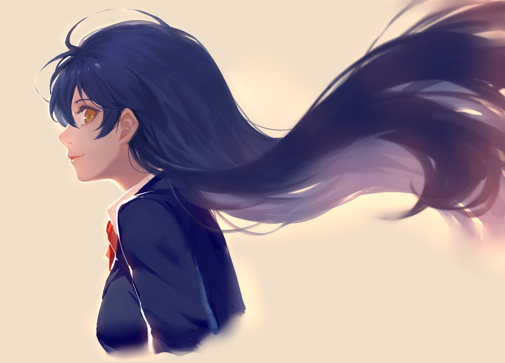 Sonoda Umi from Love Live! illustration HD Wallpaper