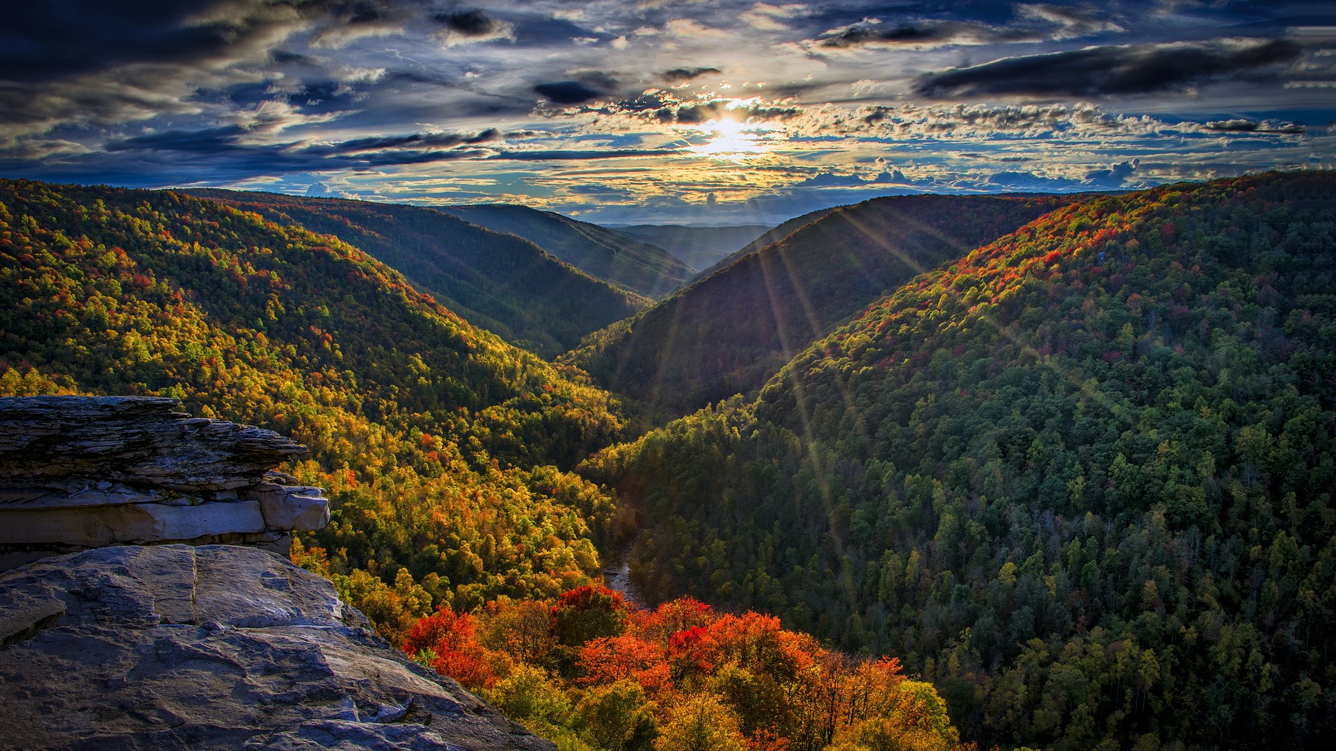 Valley with autumn foliage and sunbeams HD Wallpaper