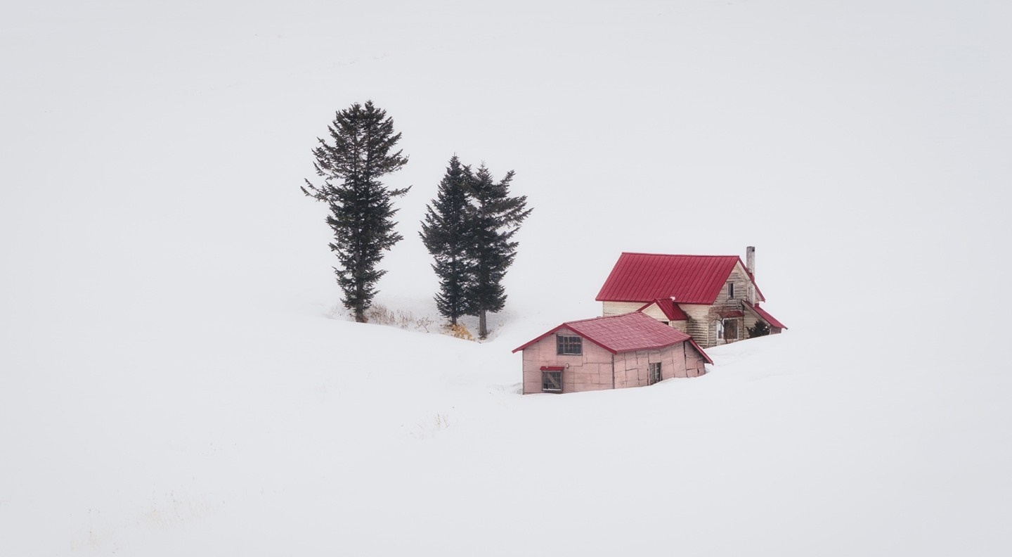 Two houses and trees in the snow HD Wallpaper