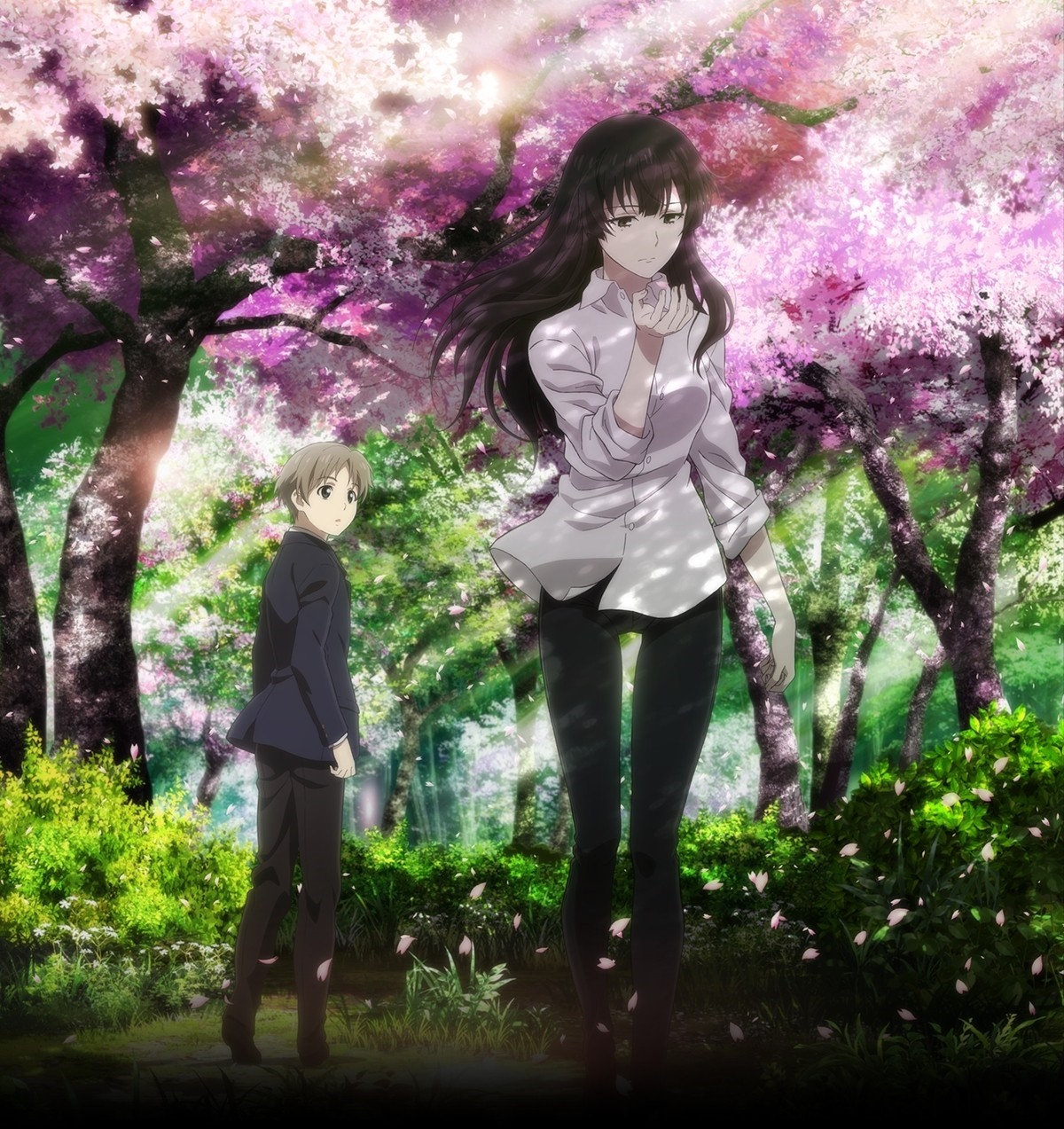 Sakurako-san no Ashimoto ni wa Shitai ga Umatteiru HD Wallpaper