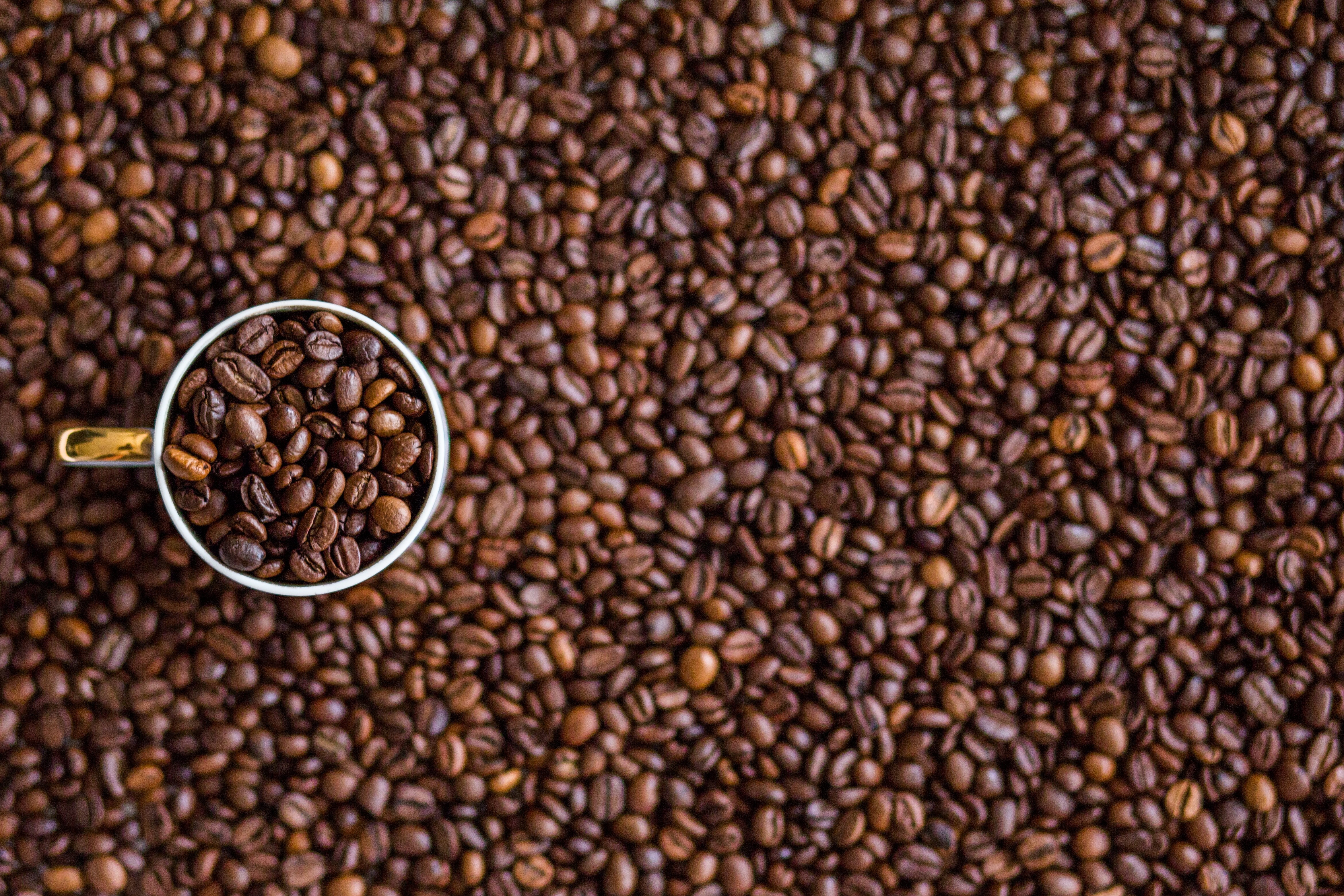 Cup of coffee beans on a bed of coffee beans HD Wallpaper