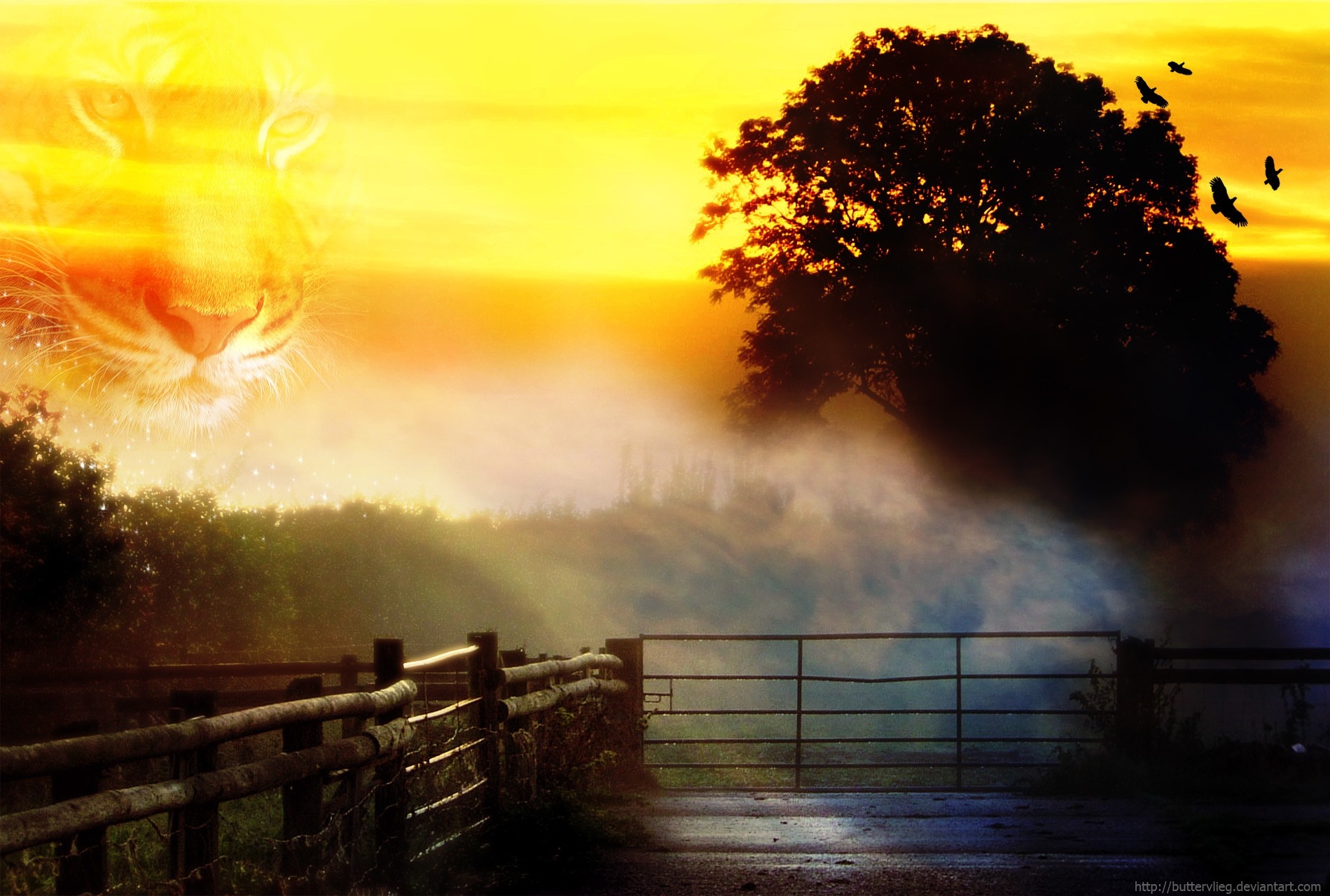 Tiger face over misty landscape at sunset HD Wallpaper