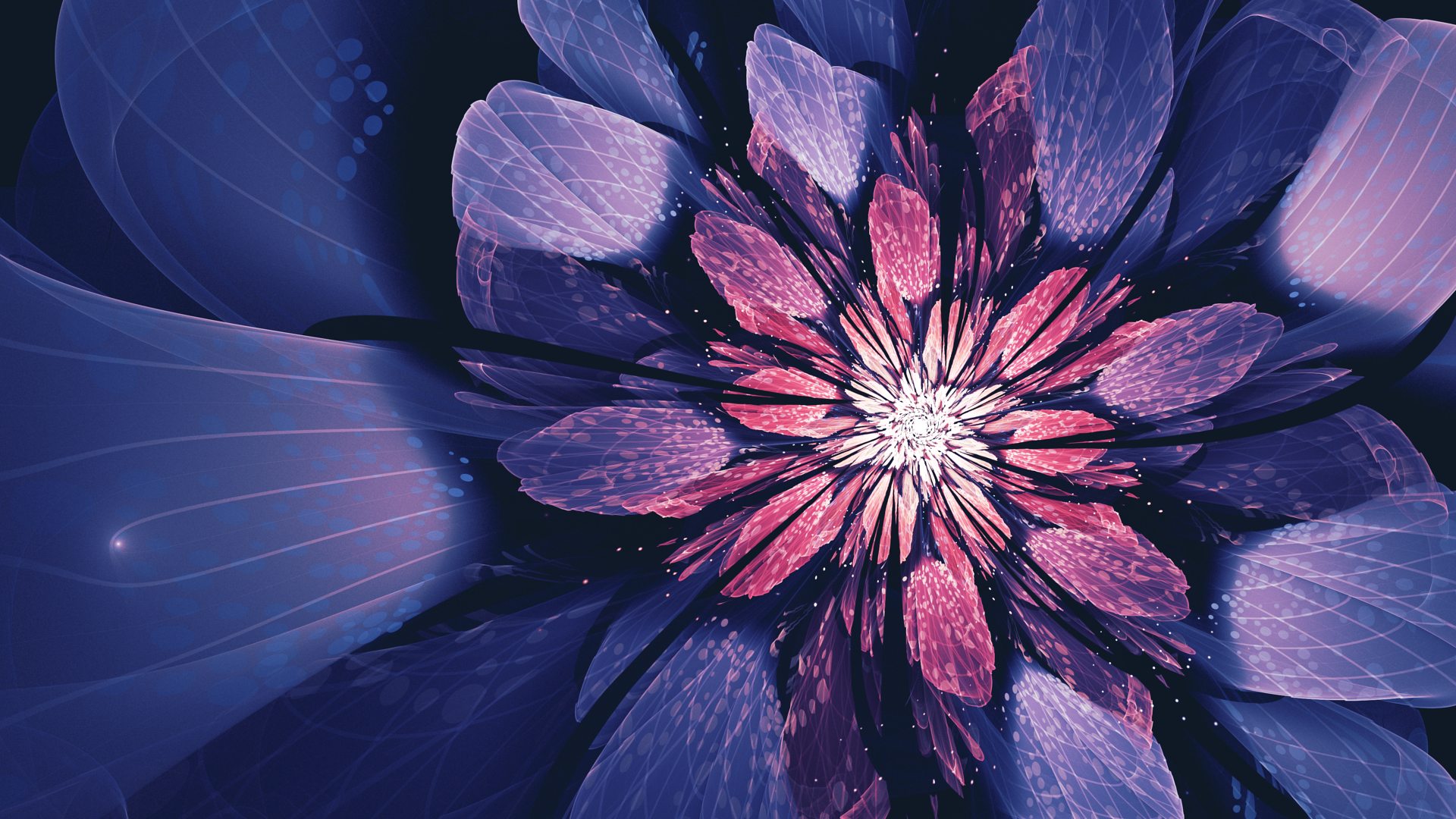 Abstract fractal flower with purple and pink petals HD Wallpaper