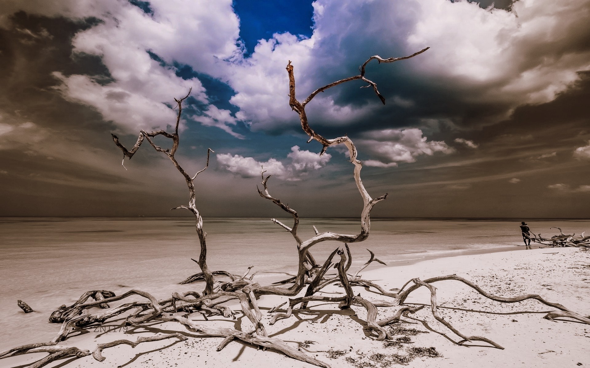 Driftwood on a beach with dramatic clouds HD Wallpaper