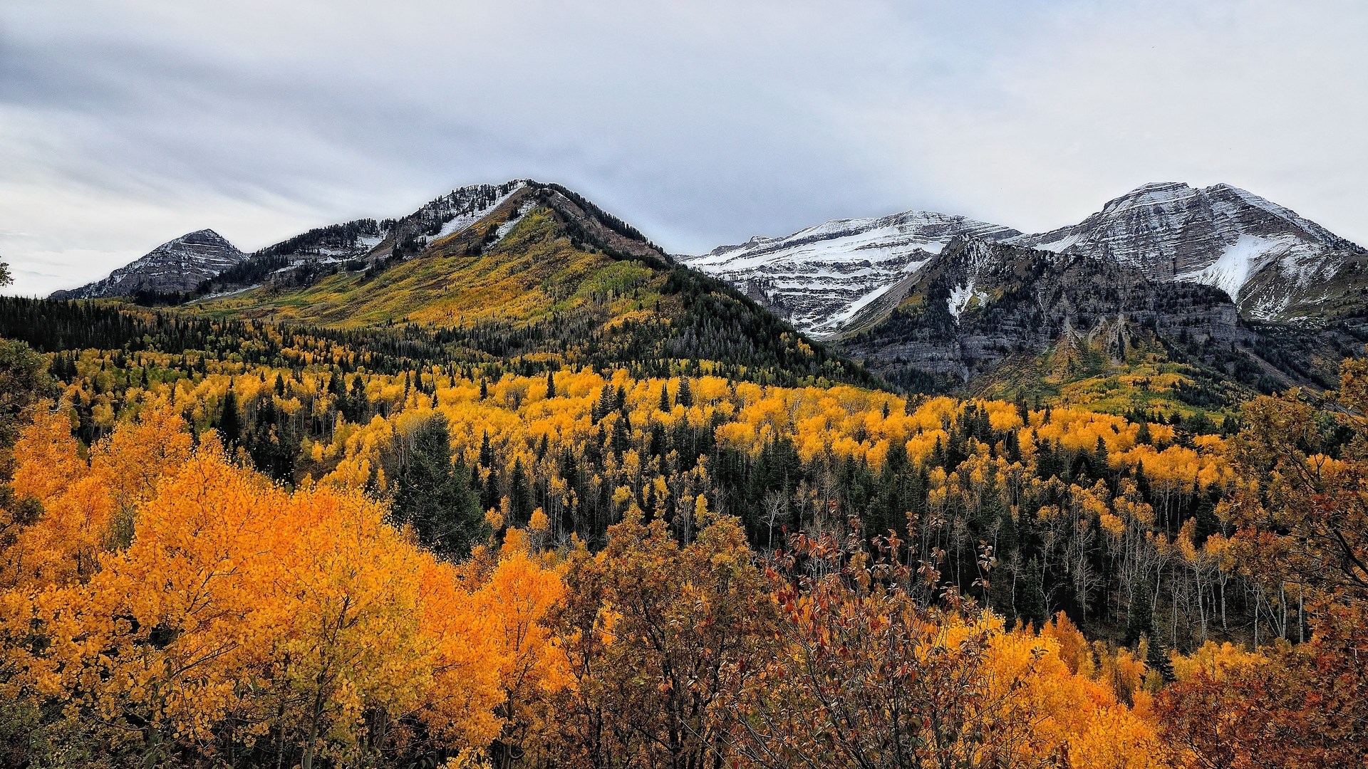 Mountains with autumn trees and snow HD Wallpaper