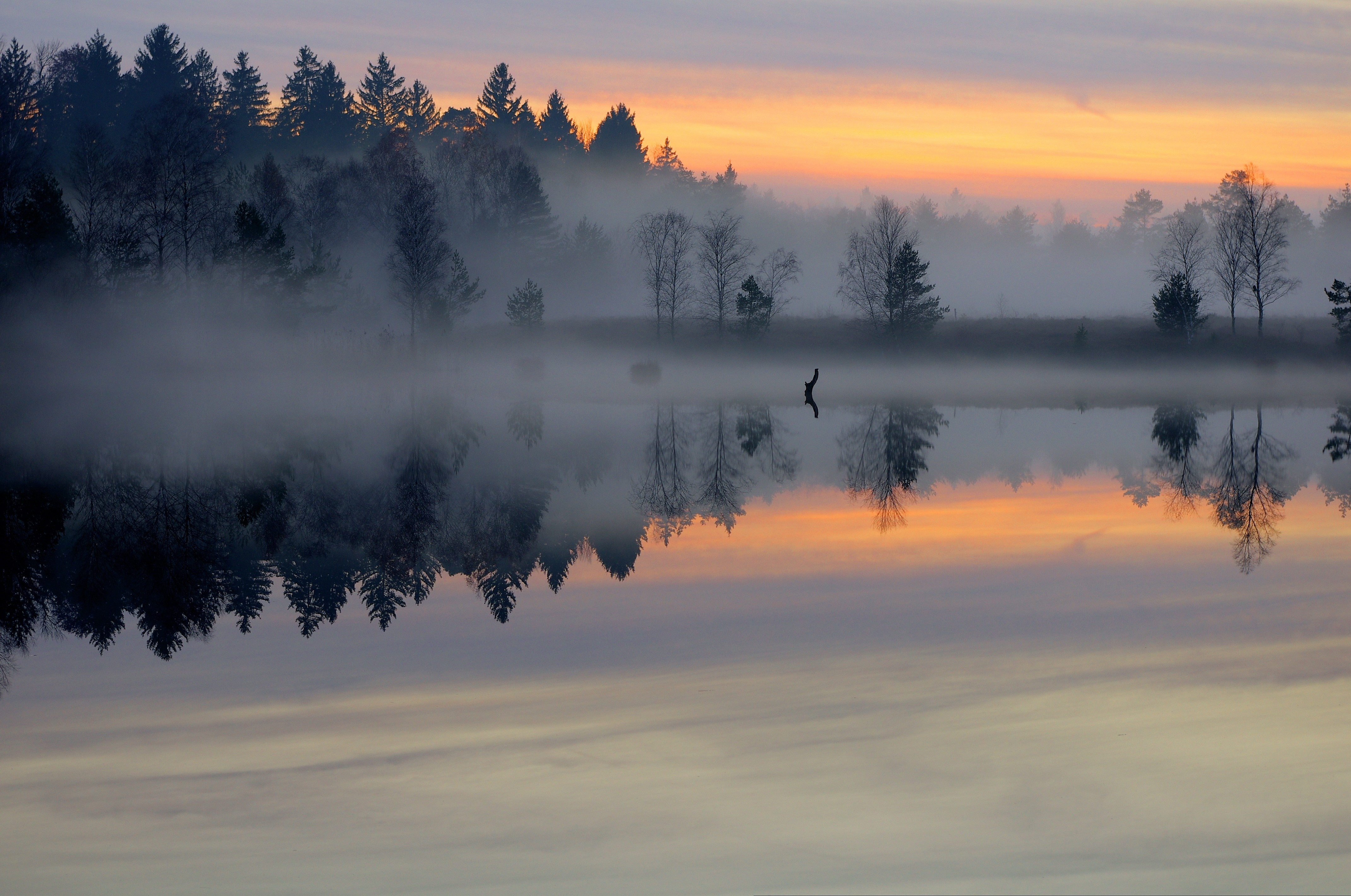 Misty lake at sunrise with forest reflection HD Wallpaper