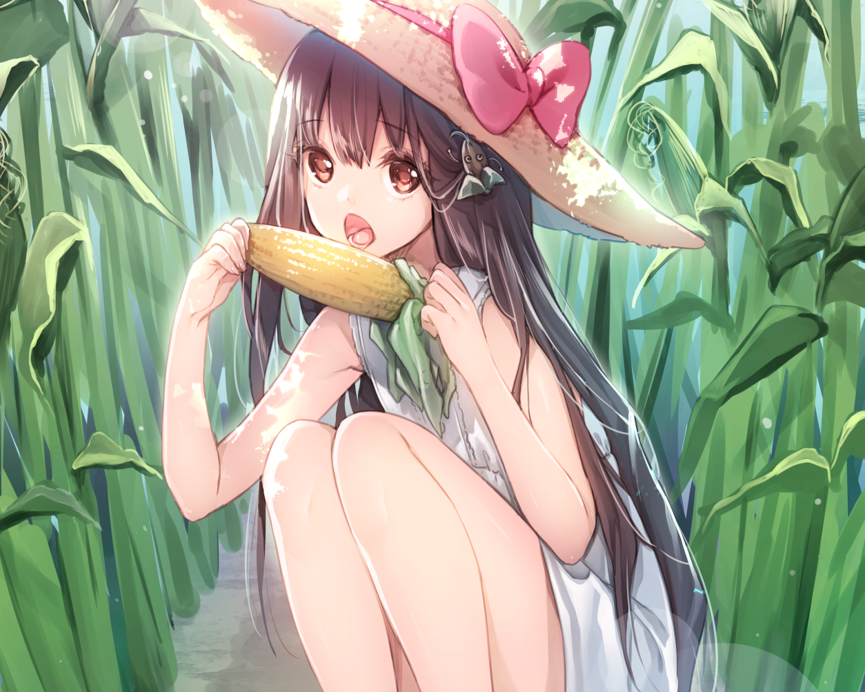 Anime girl in a straw hat eating corn in a cornfield HD Wallpaper