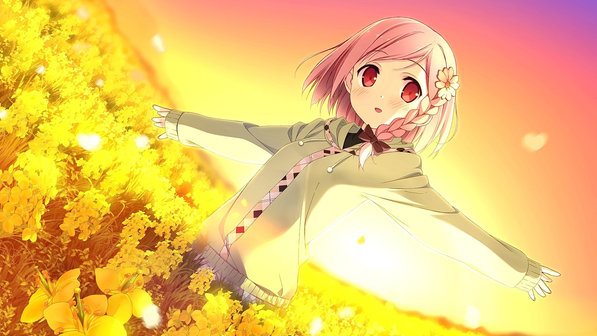 Anime girl with pink hair in a flower field at sunset HD Wallpaper
