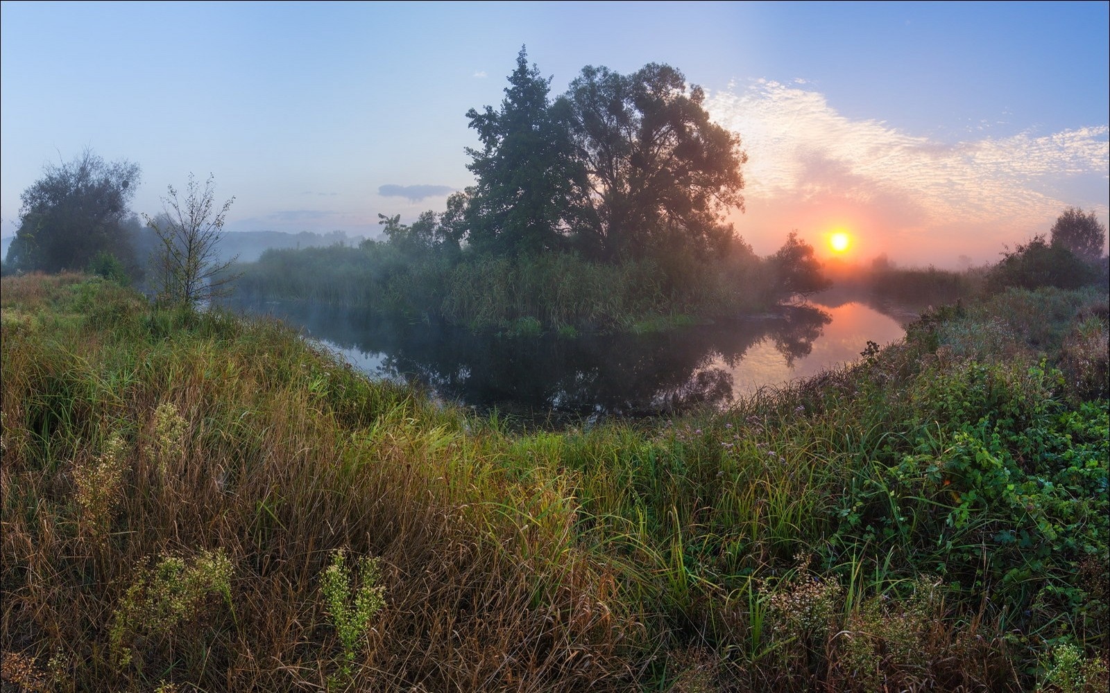Misty river at sunrise with trees and tall grass HD Wallpaper