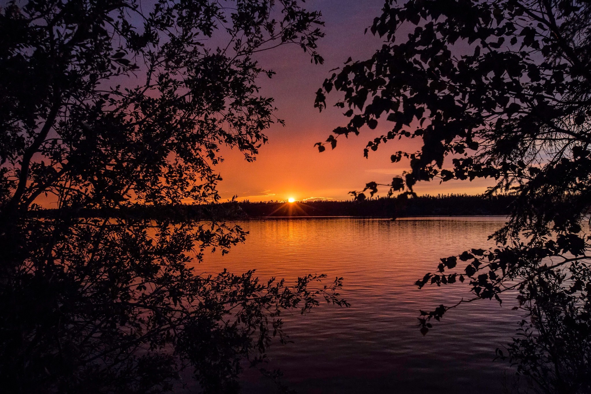 Sunset over a lake with trees in silhouette HD Wallpaper