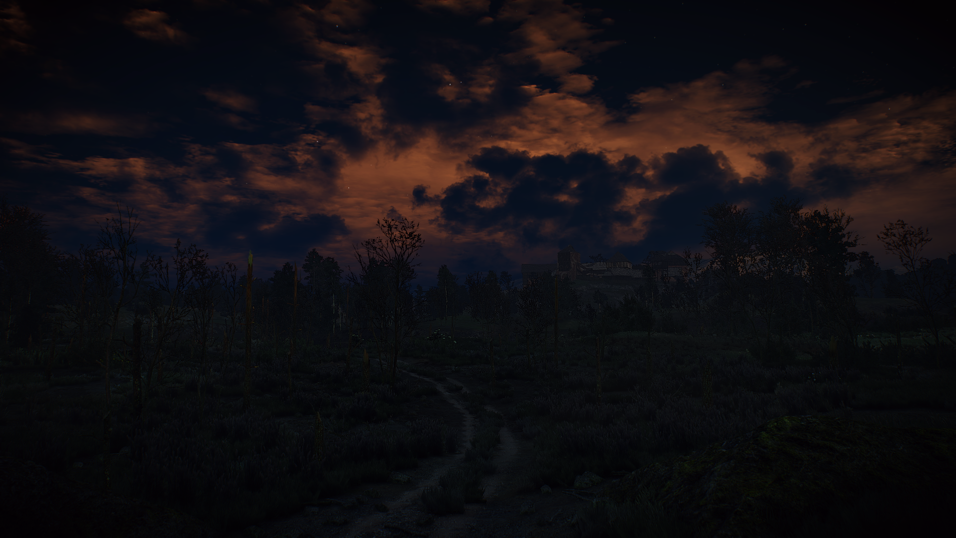 The Witcher 3 Wild Hunt: Dusk over a dark forest HD Wallpaper
