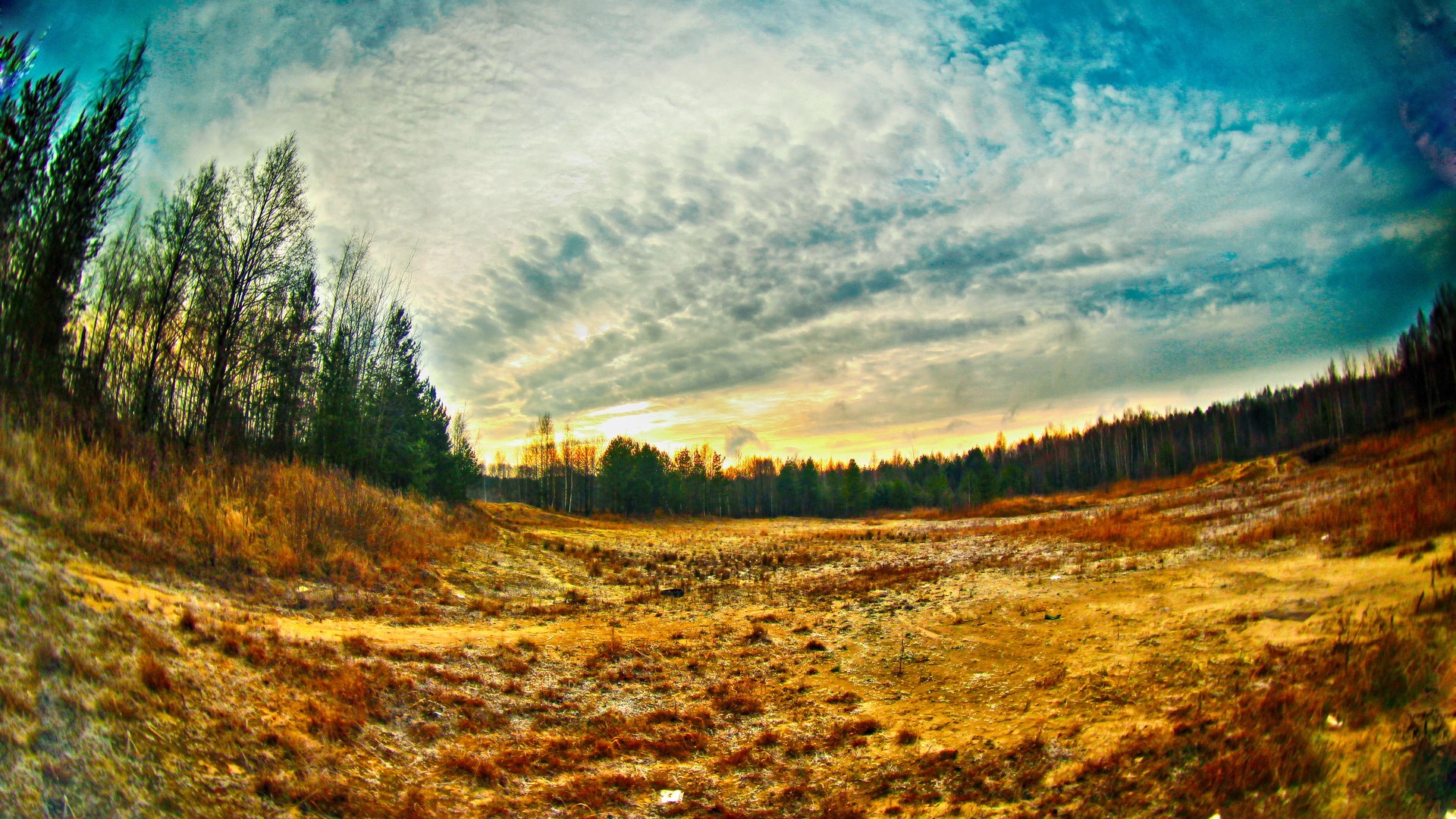 Wide-angle view of a field with trees and dramatic sky HD Wallpaper