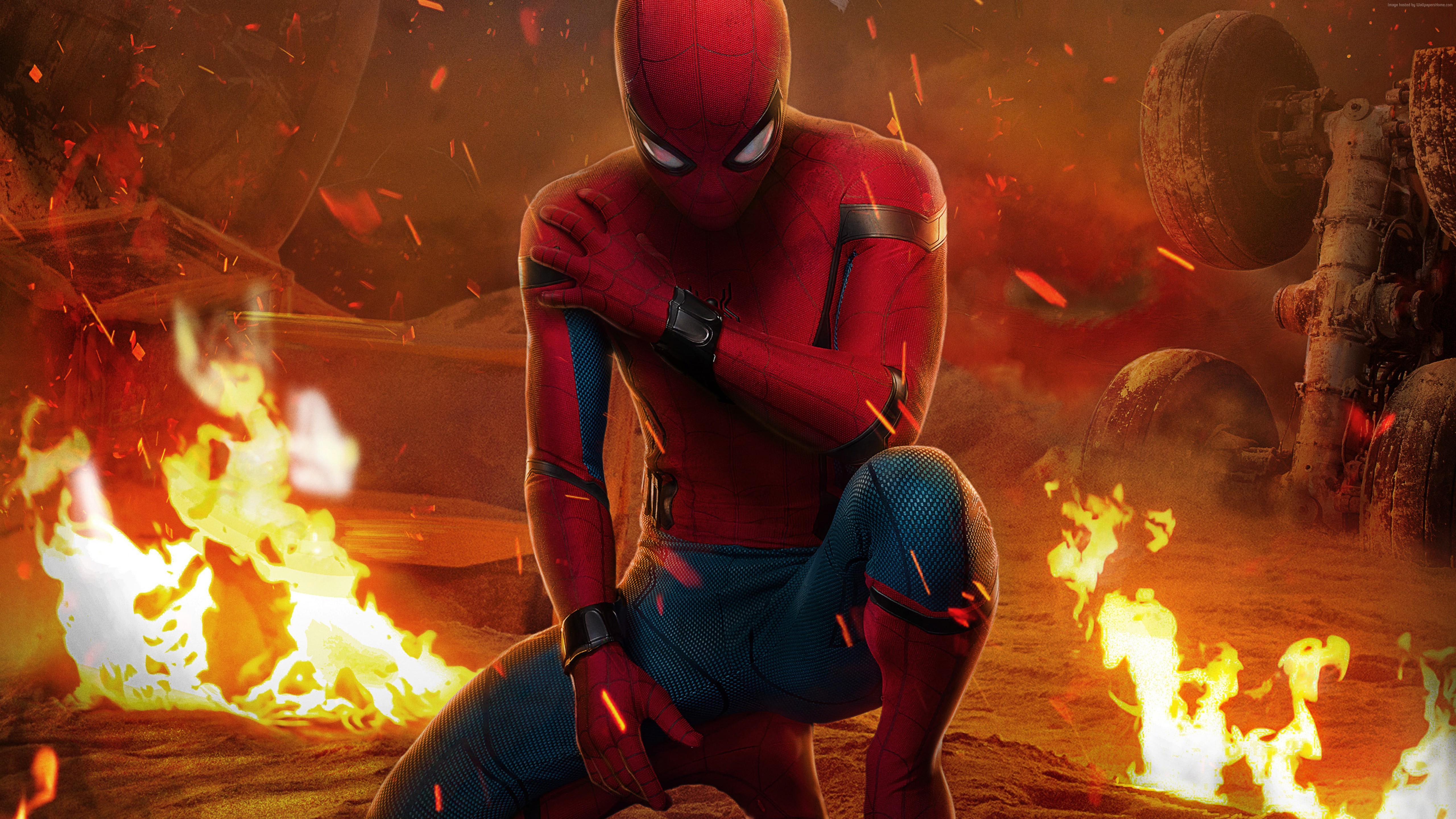 Spider-Man from Spider-Man: Homecoming HD Wallpaper