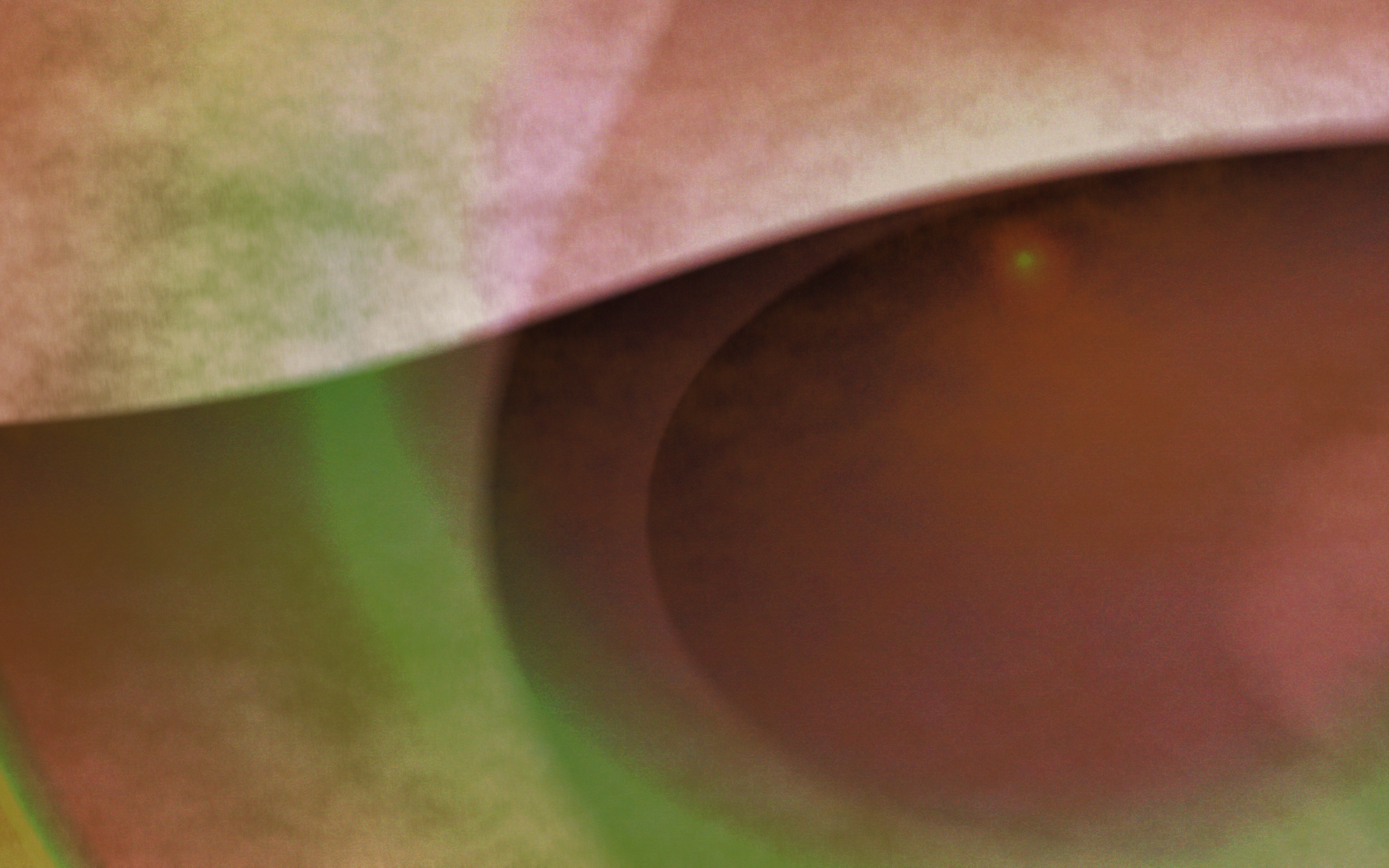 Abstract close-up of a human eye with green and brown tones HD Wallpaper