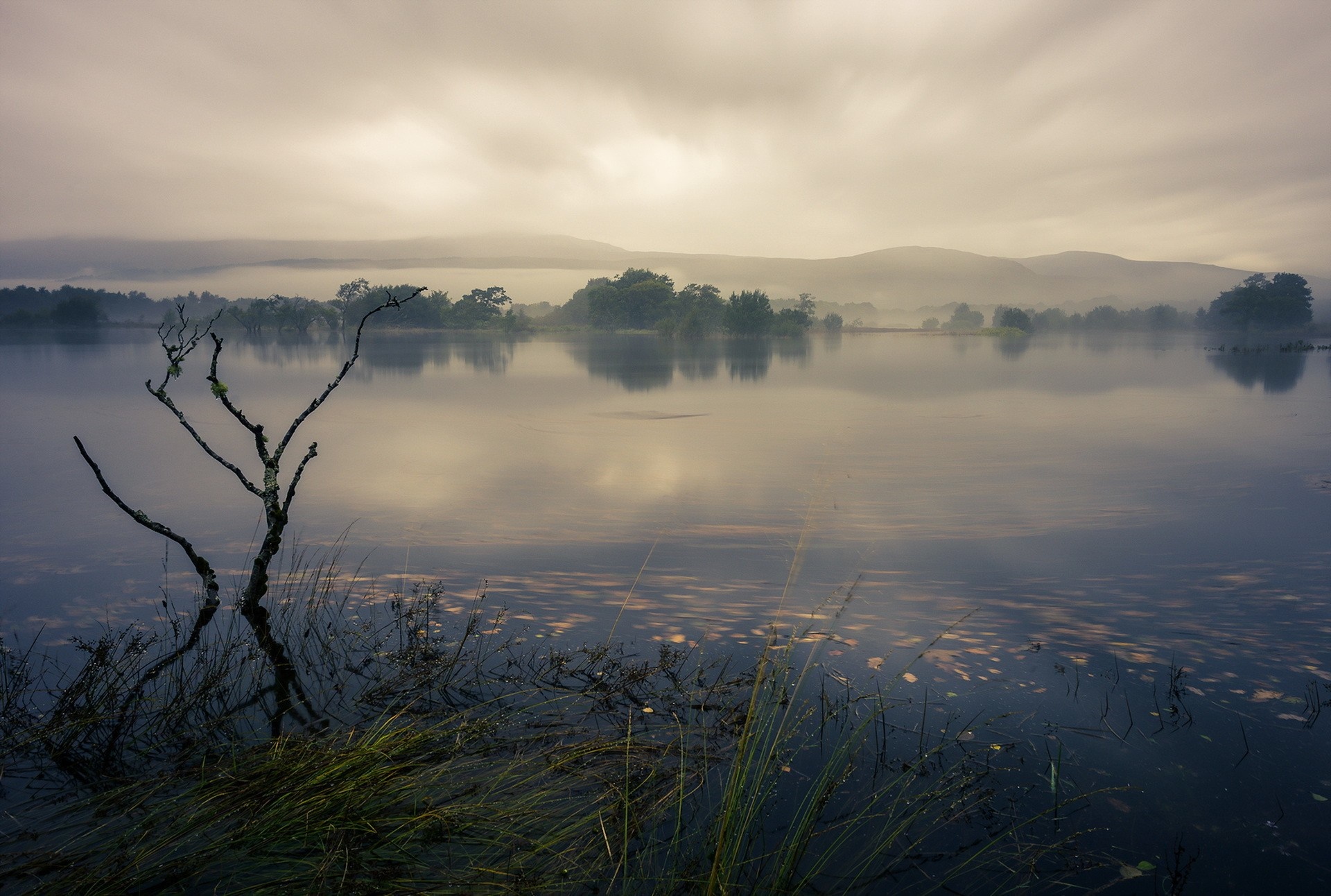 Misty lake with bare tree and hills at sunrise HD Wallpaper