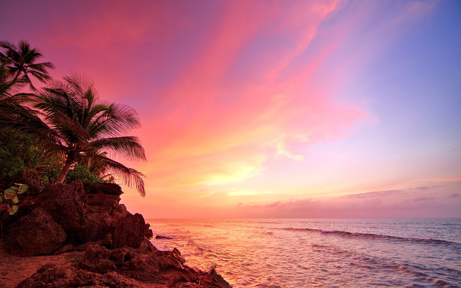 Tropical sunset over the ocean with palm trees and rocks HD Wallpaper