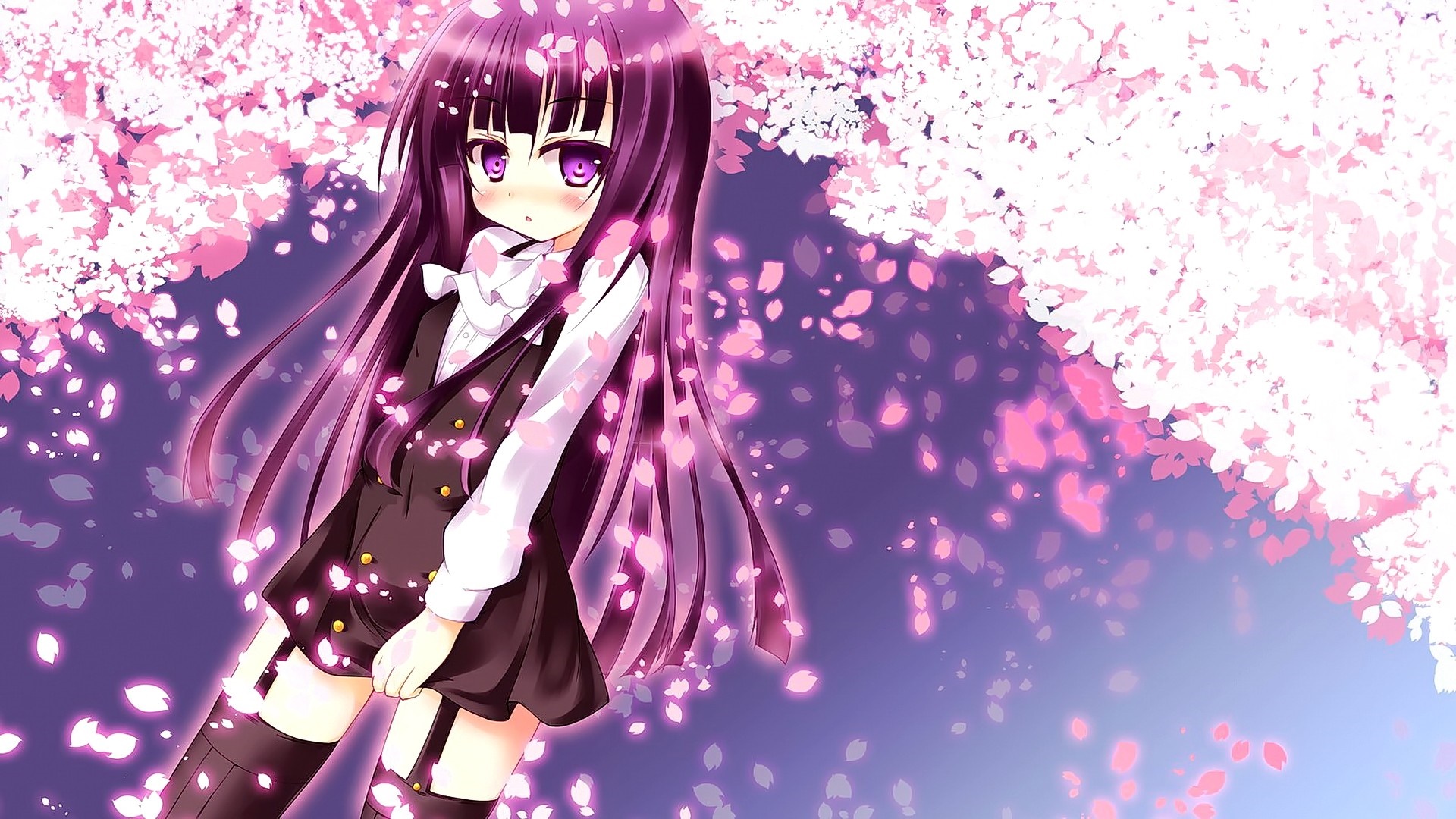 Anime girl with long purple hair and cherry blossoms HD Wallpaper