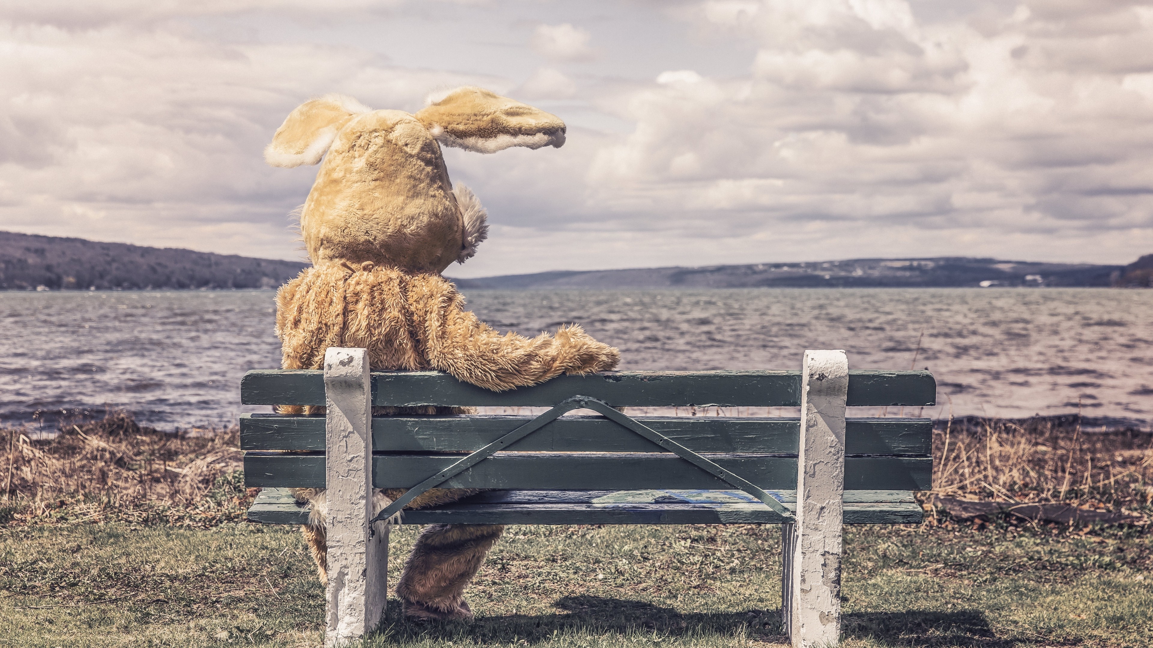 Bunny suit sitting on a bench by the water HD Wallpaper