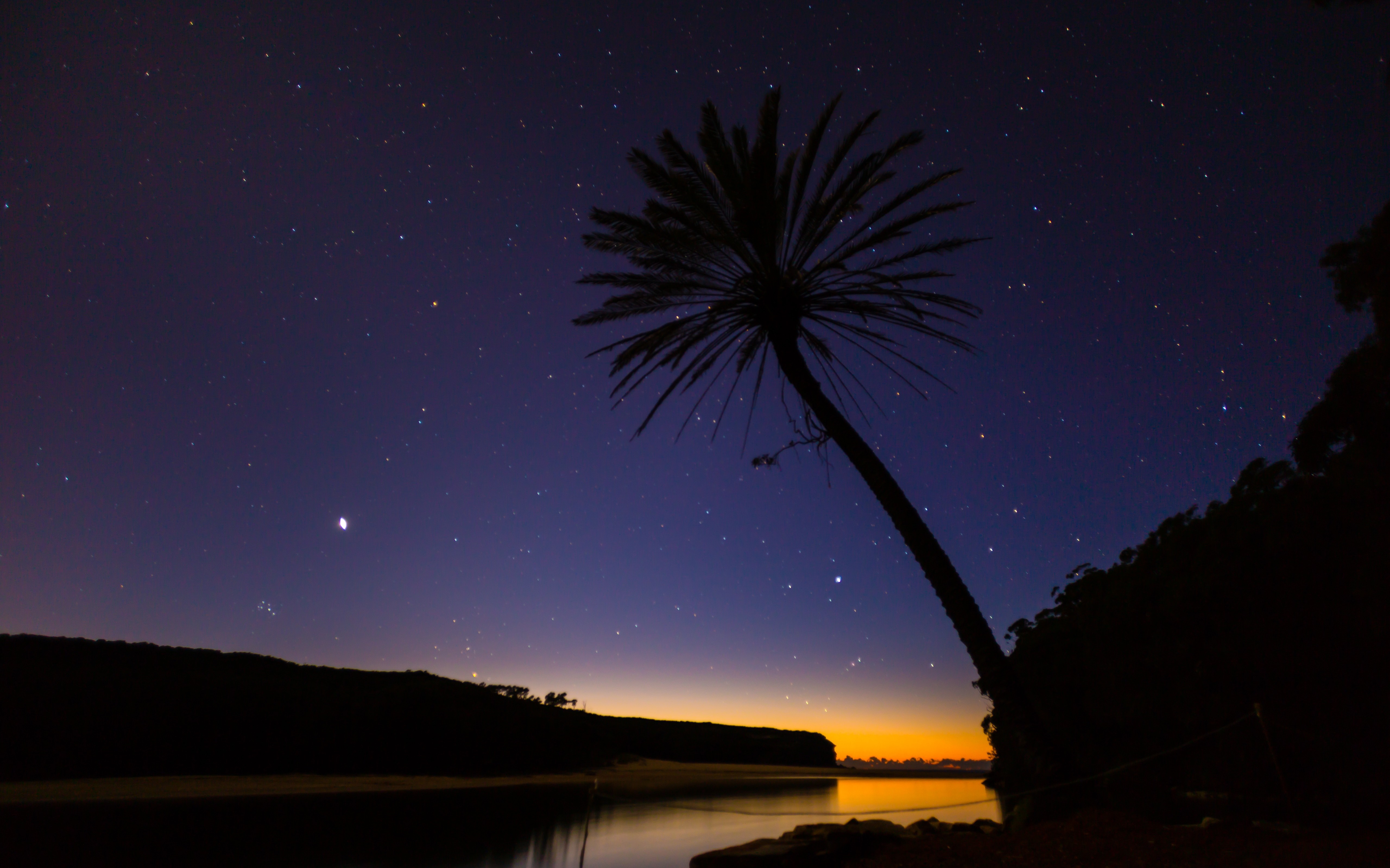 Palm tree silhouetted against starry night sky over water HD Wallpaper