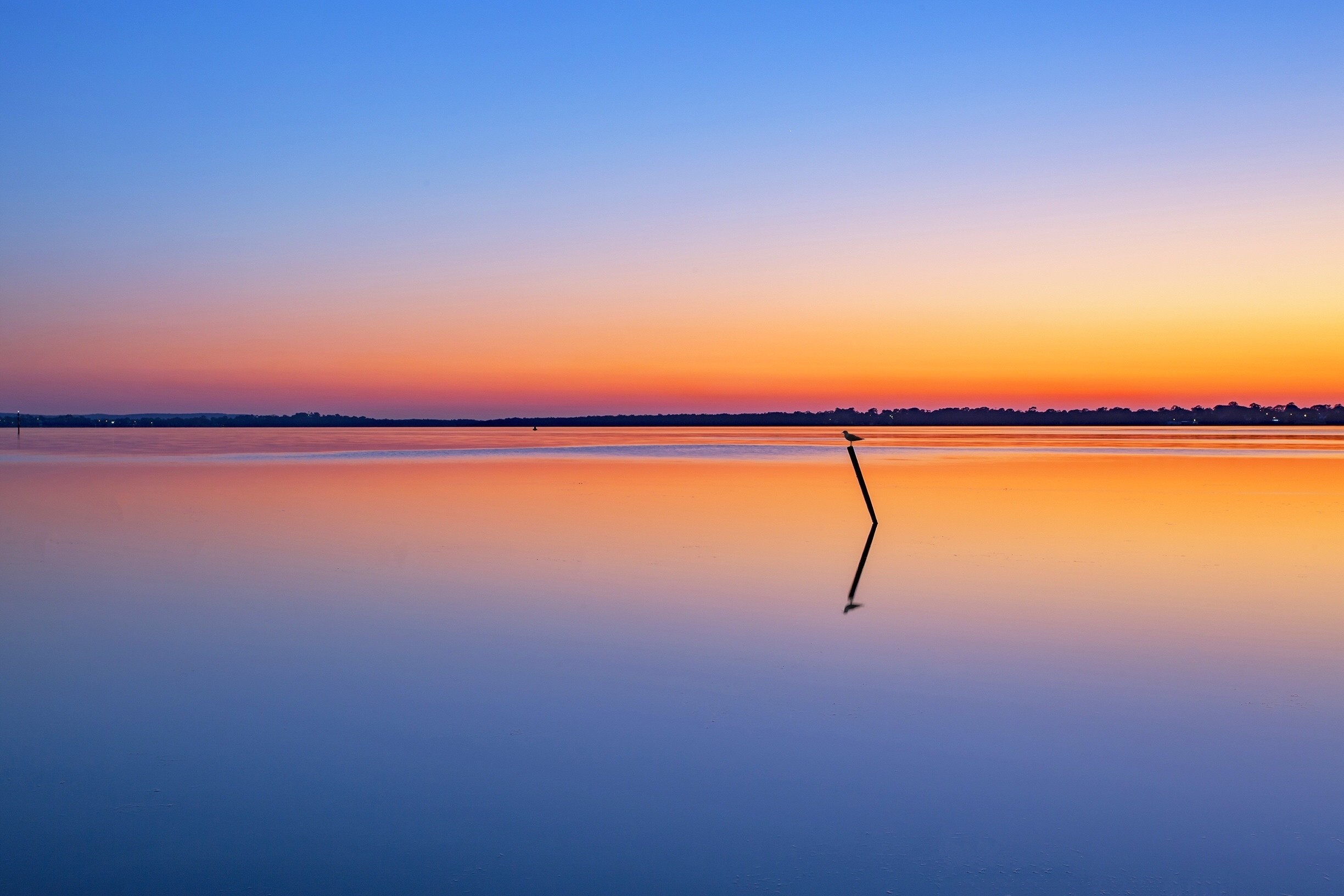 Calm lake at sunset with a bird on a post HD Wallpaper