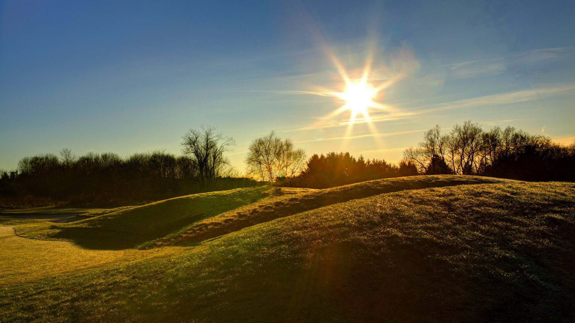 Sun shining over rolling green hills and trees HD Wallpaper