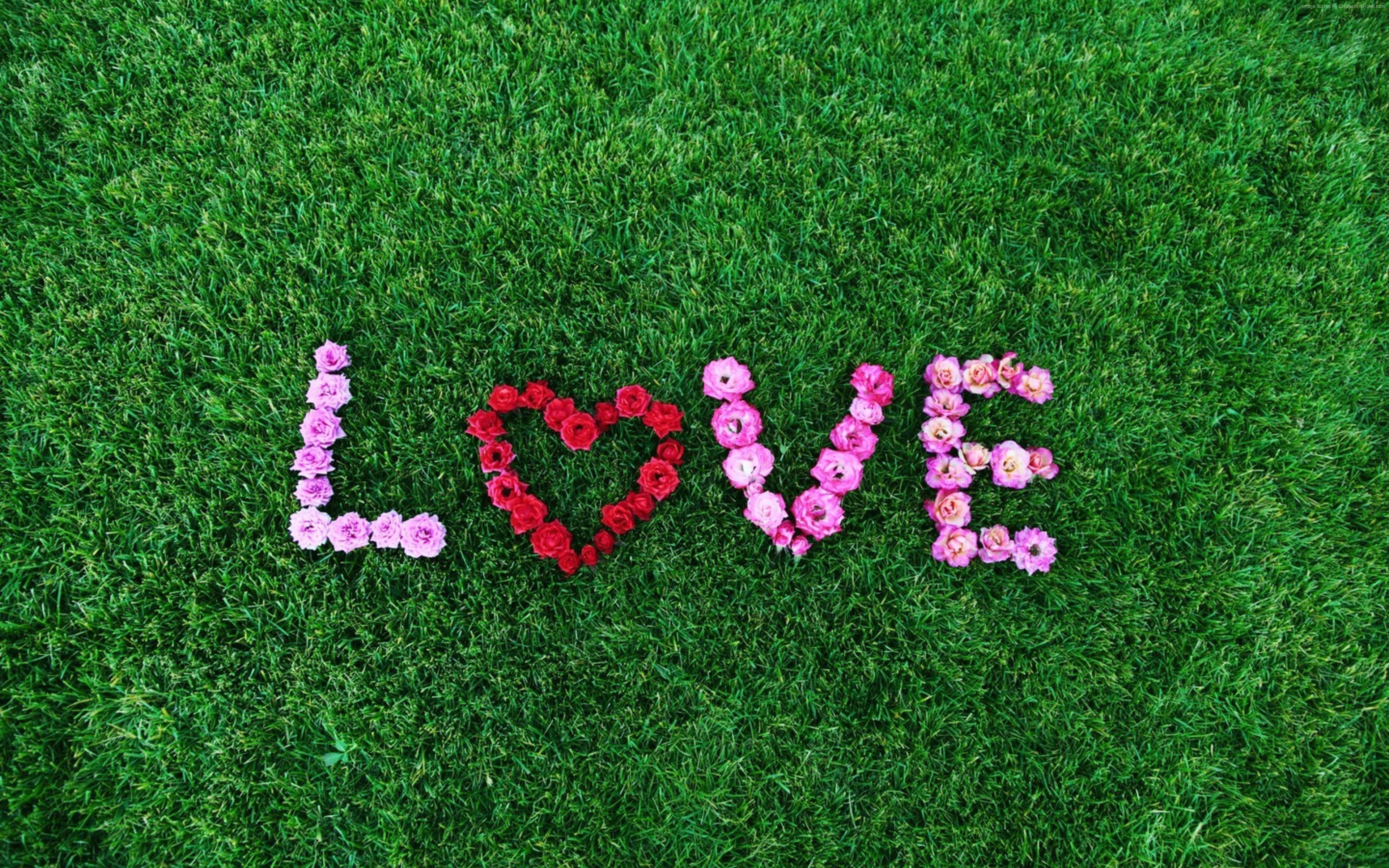 The word LOVE spelled with flowers on grass, 4K HD Wallpaper