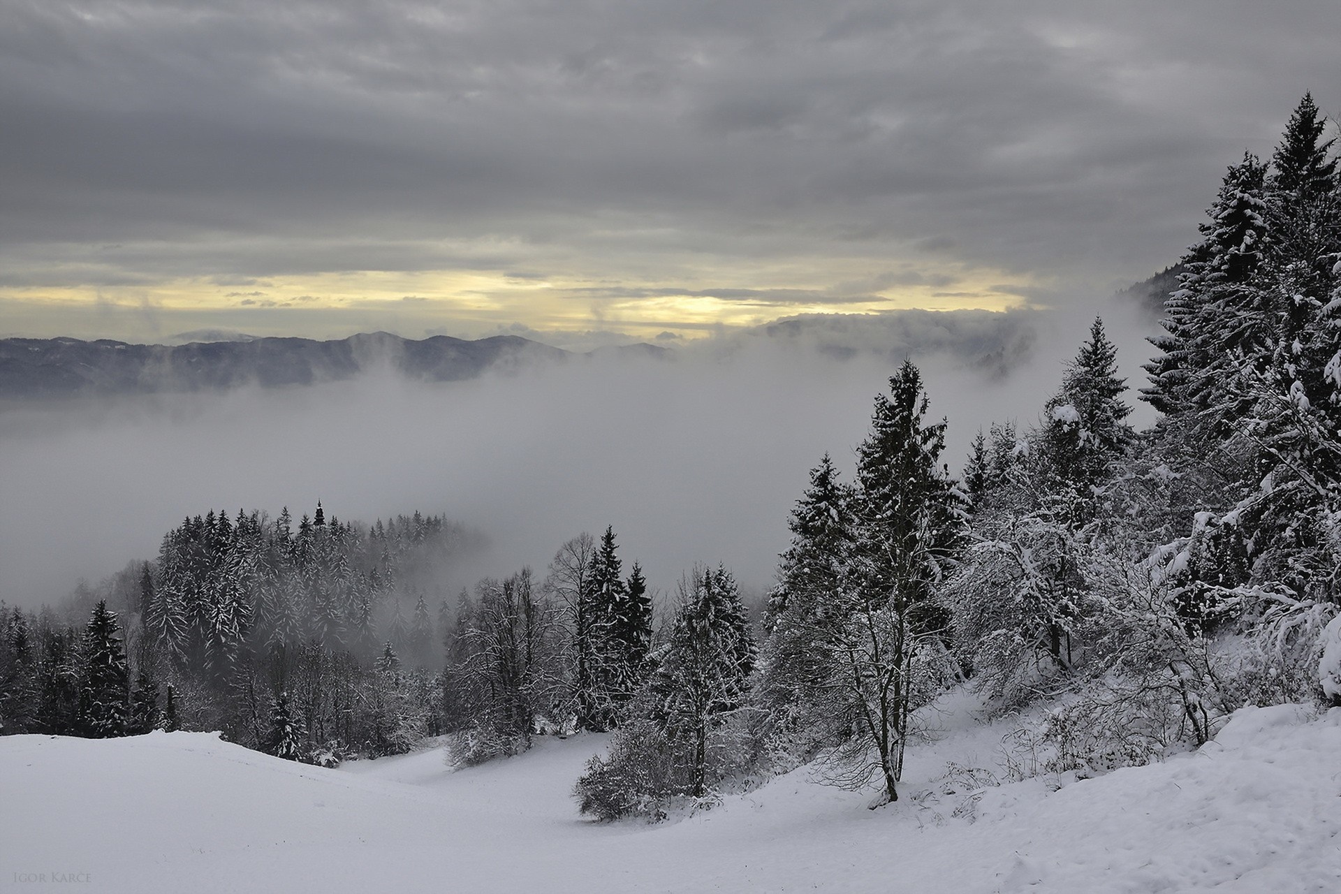 Snowy mountain landscape with fog and trees HD Wallpaper