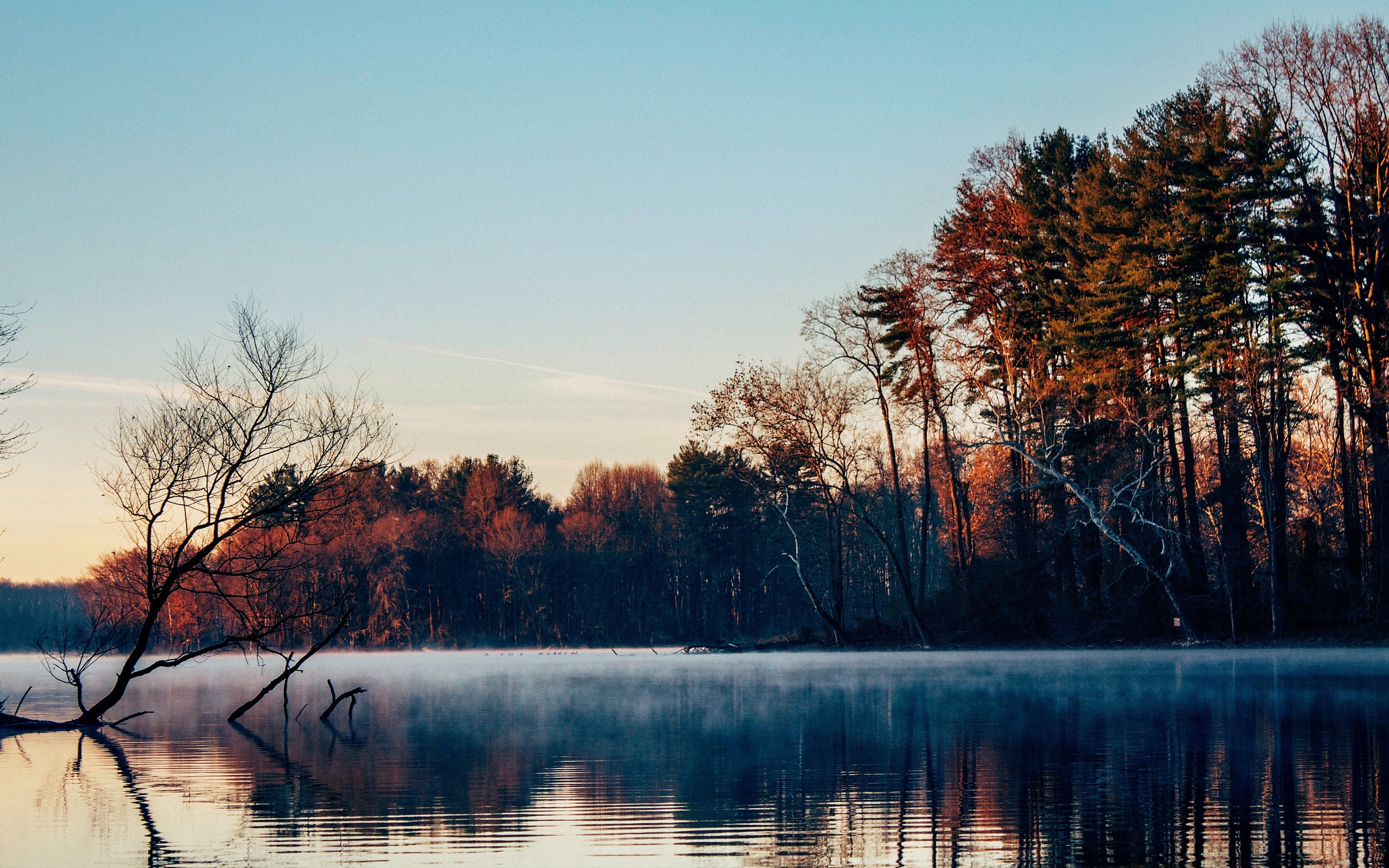 Misty lake at sunrise with autumn trees HD Wallpaper