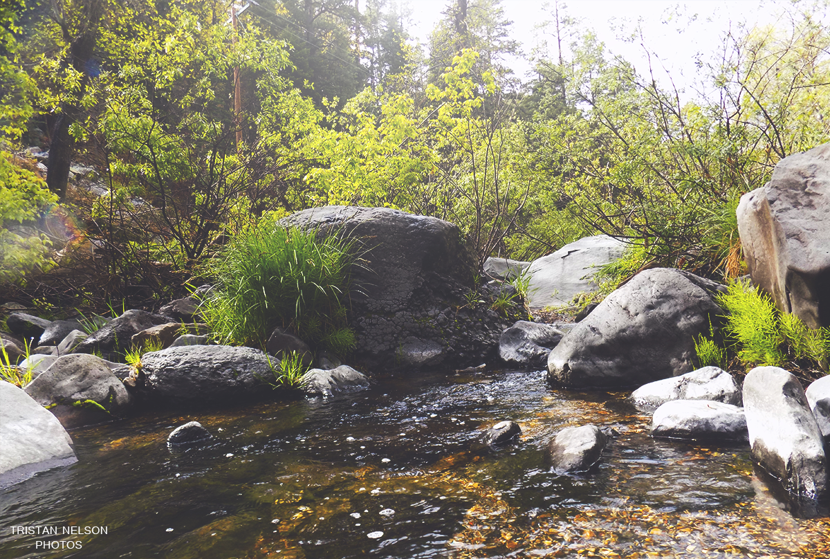 Stream flowing over rocks in a forest HD Wallpaper
