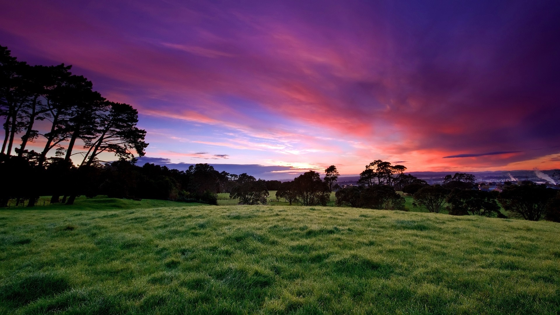 Grassy hill with trees under a vibrant sunset sky HD Wallpaper