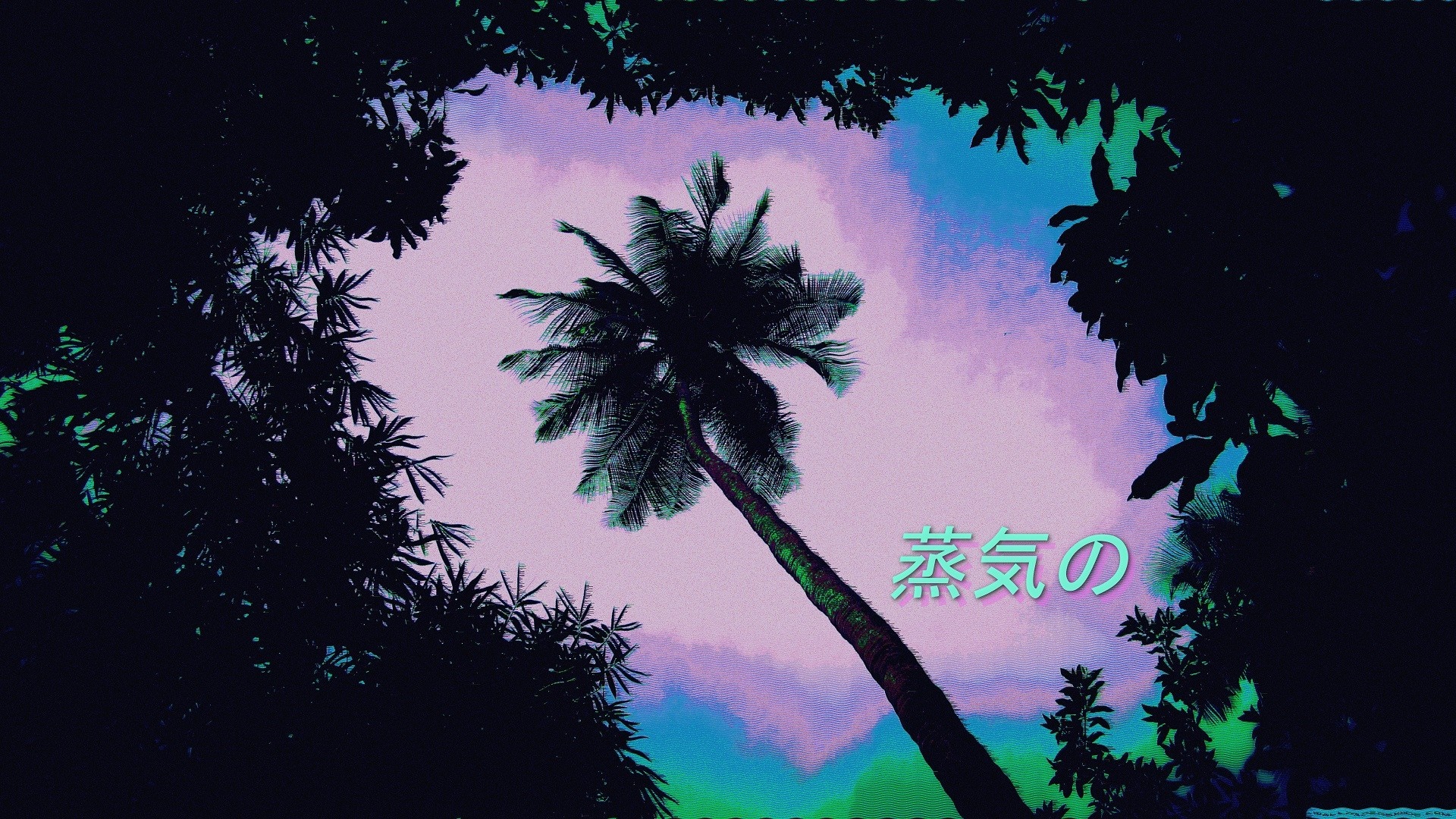 Palm tree against a colorful sky with Japanese text HD Wallpaper