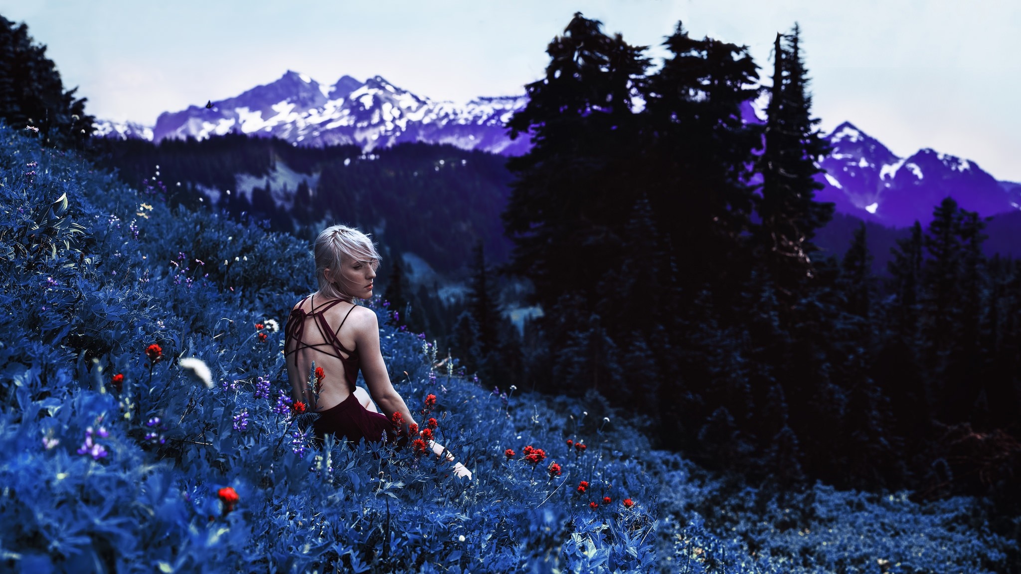 Woman in a field of flowers with mountains in the background HD Wallpaper
