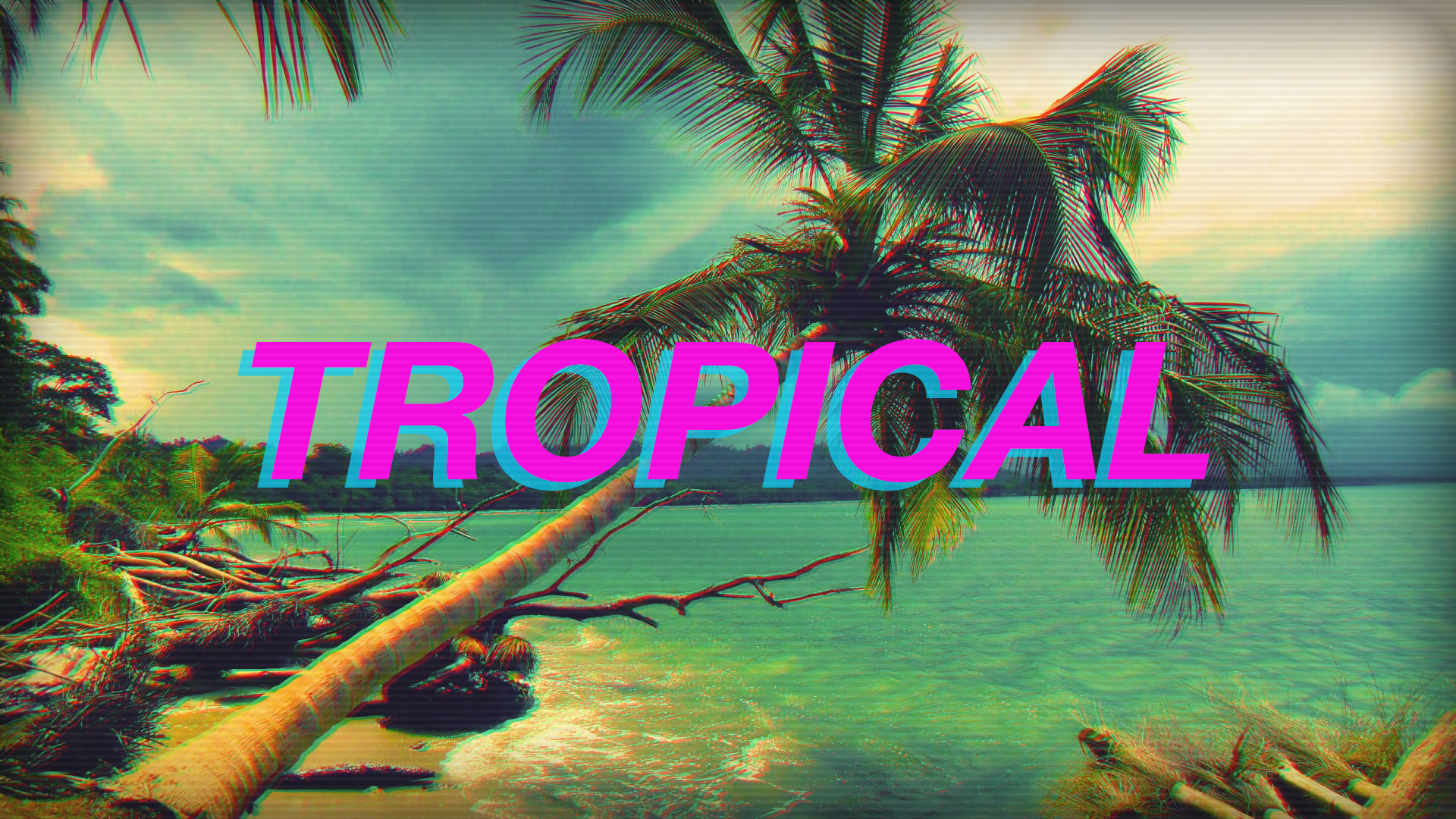 Tropical beach with palm trees and ocean HD Wallpaper