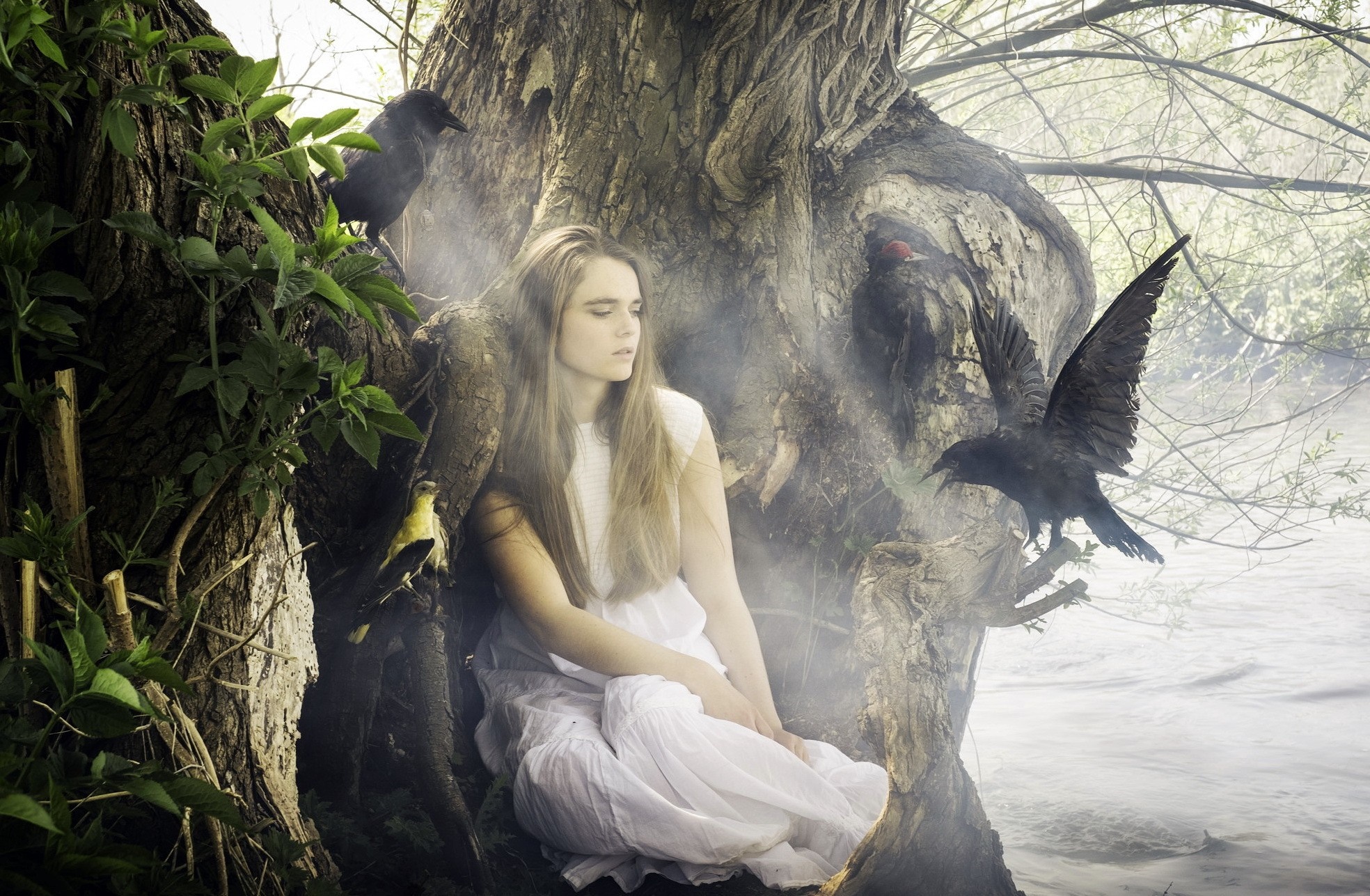Woman in white dress with crows by a tree HD Wallpaper