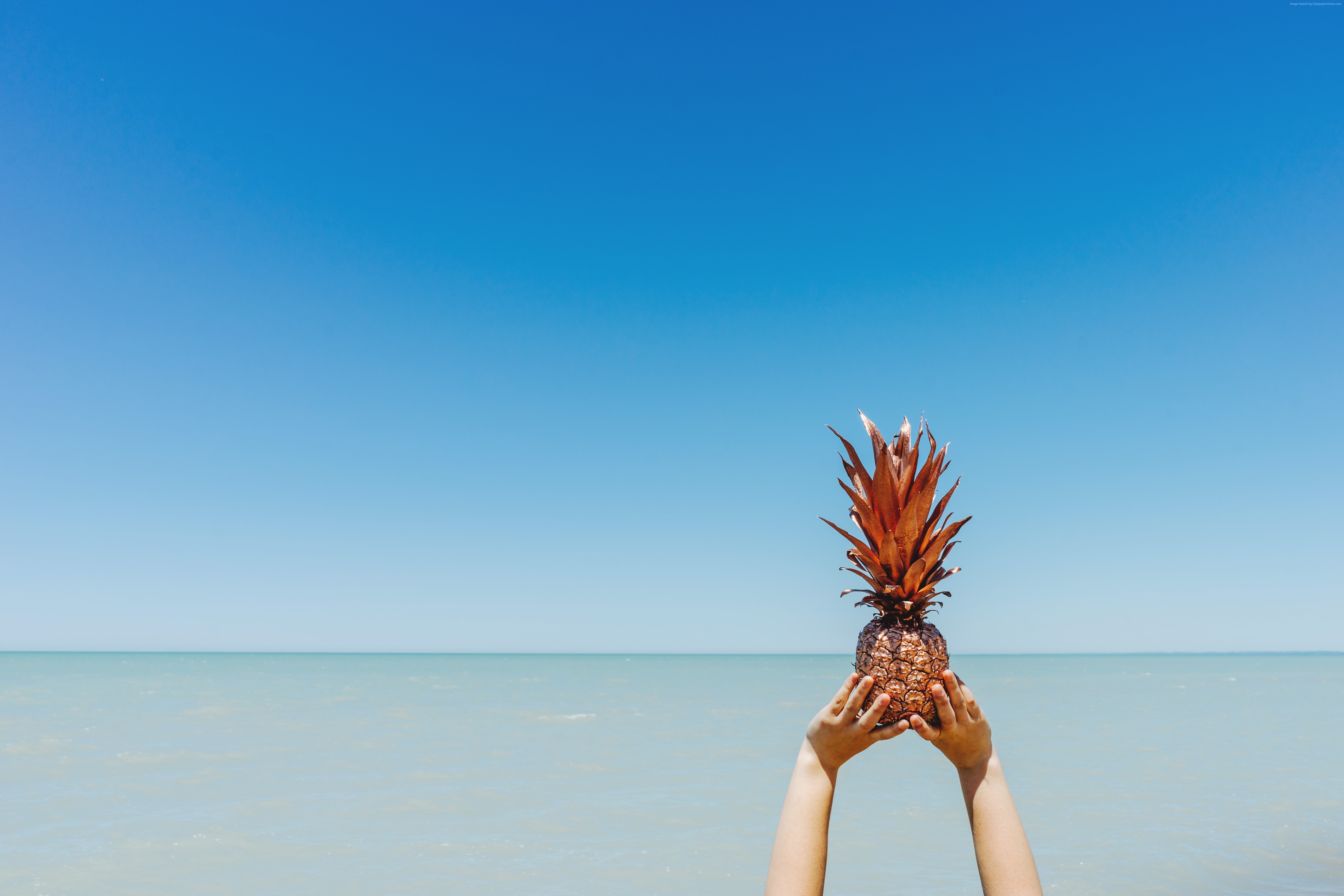 Pineapple held up against a clear blue sky and ocean HD Wallpaper