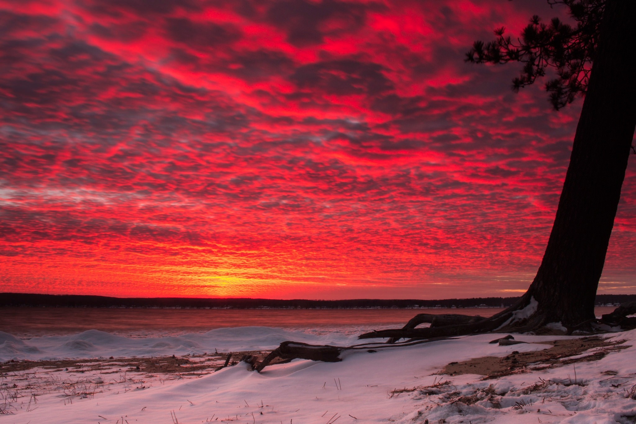 Fiery sunset over a snowy beach with a tree HD Wallpaper