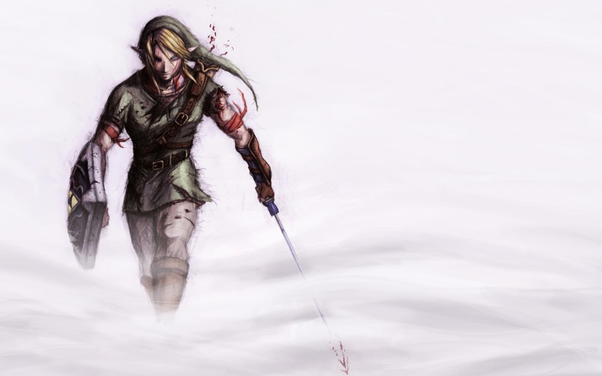 Link from The Legend of Zelda, injured HD Wallpaper
