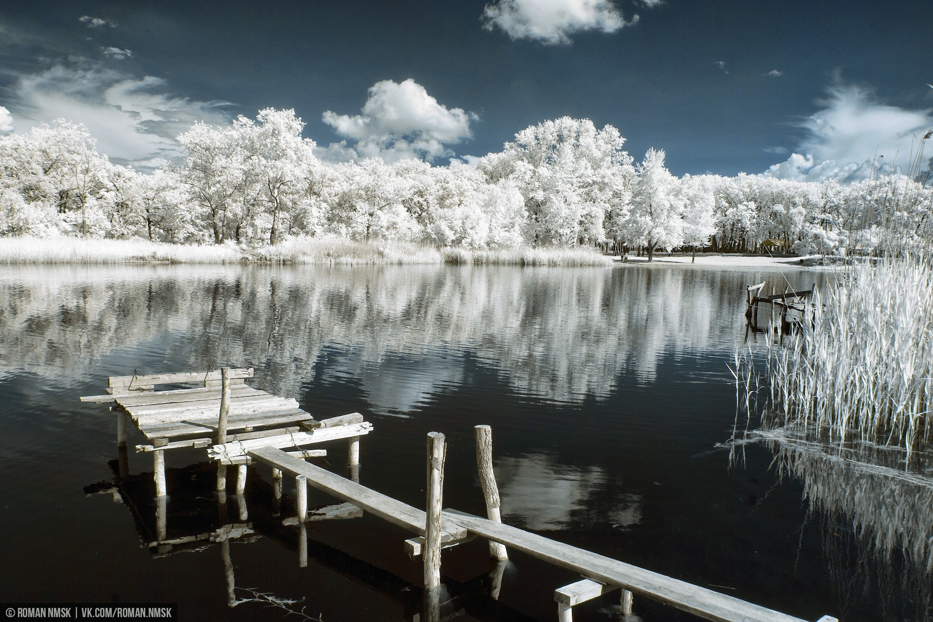 Infrared lake with wooden pier and white trees HD Wallpaper