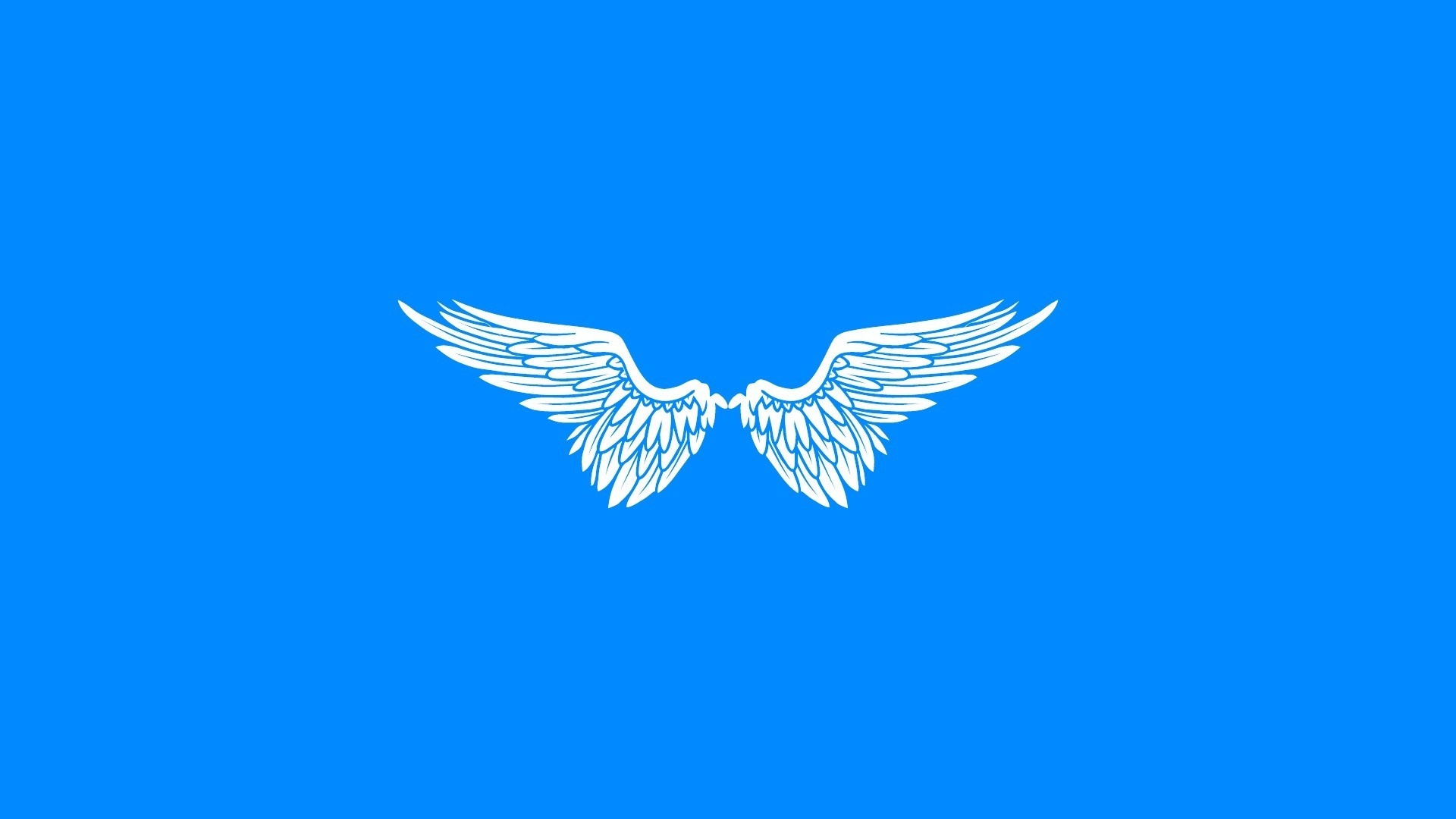 White wings illustration on a blue background HD Wallpaper