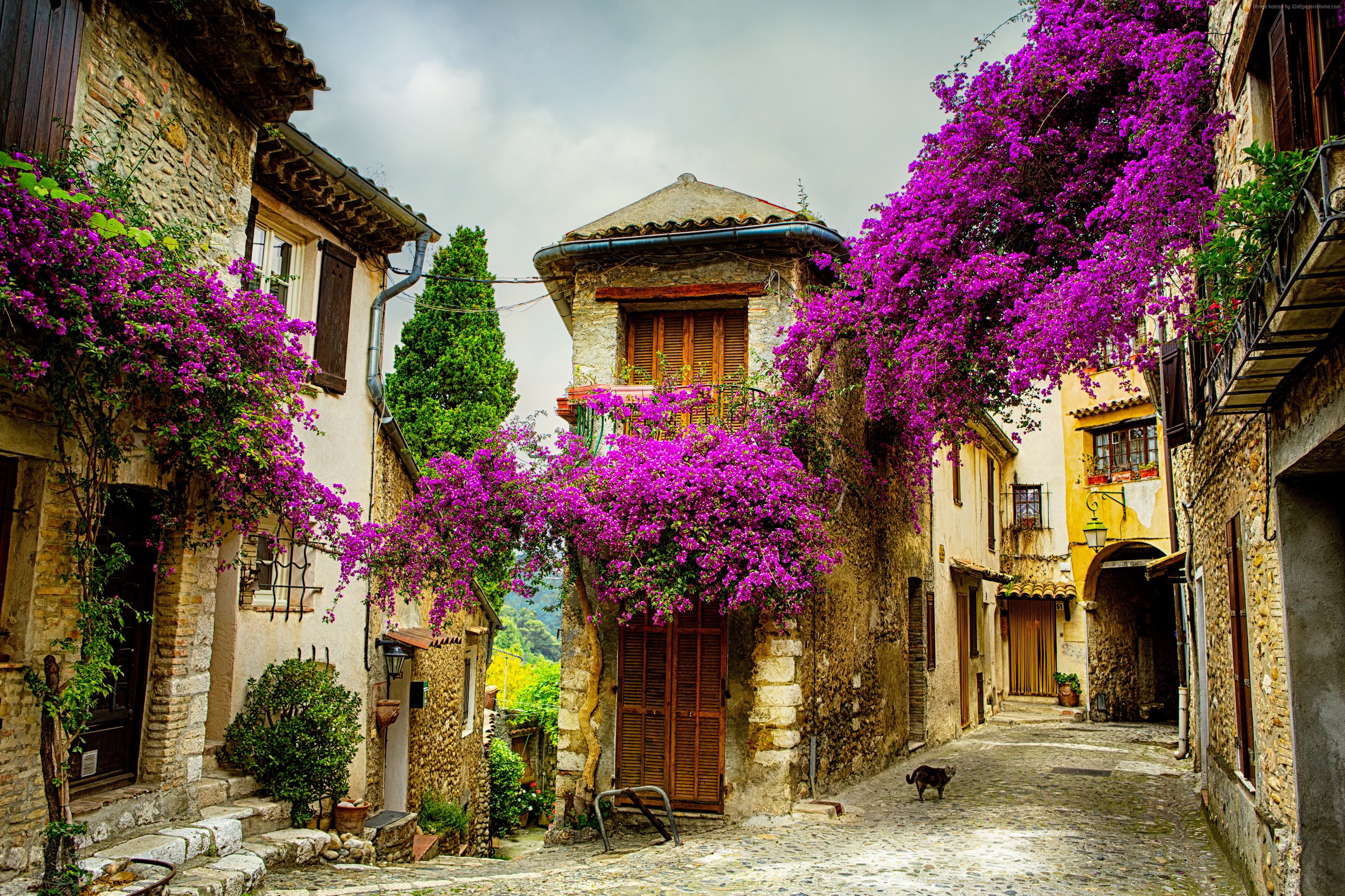 France, Tourism, Provence, Travel HD Wallpaper