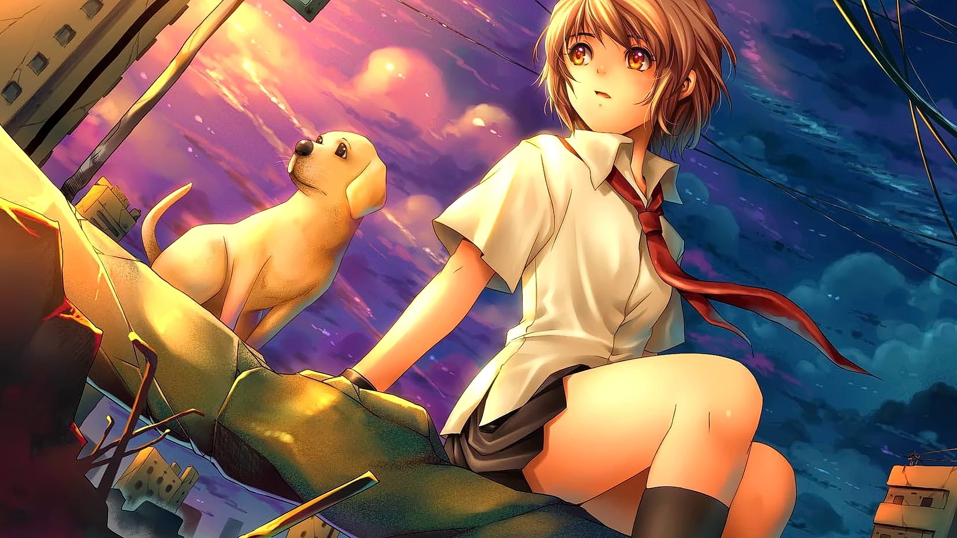 Anime girl and dog on debris at sunset HD Wallpaper